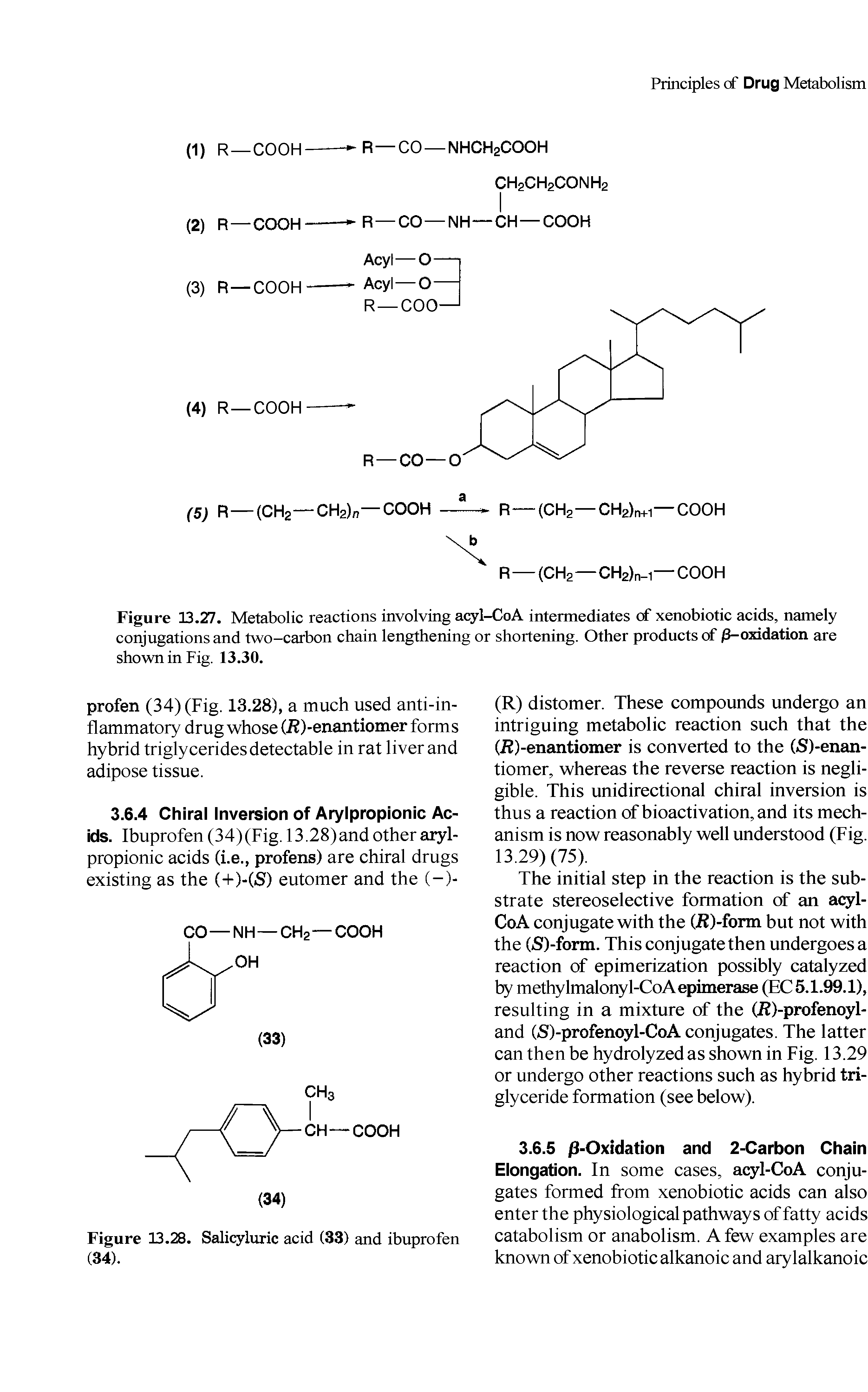 Figure 13.27. Metabolic reactions involving acyl-CoA intermediates of xenobiotic acids, namely conjugations and two-carbon chain lengthening or shortening. Other products of /3-oxidation are shown in Fig. 13.30.