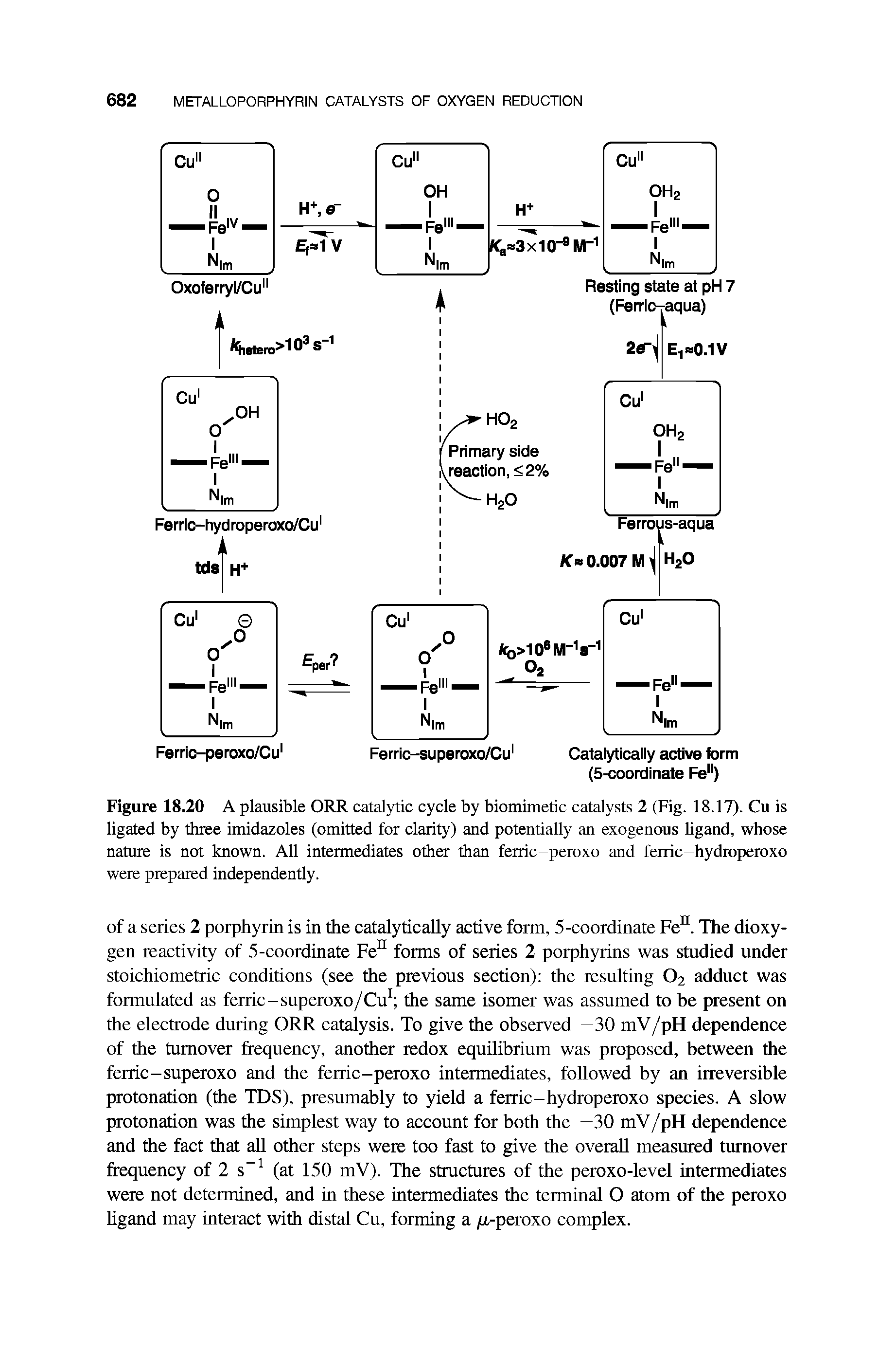 Figure 18.20 A plausible ORR catalytic cycle by biomimetic catalysts 2 (Fig. 18.17). Cu is ligated by three imidazoles (omitted for clarity) and potentially an exogenous ligand, whose nature is not known. All intermediates other than ferric-peroxo and ferric-hydroperoxo were prepared independently.