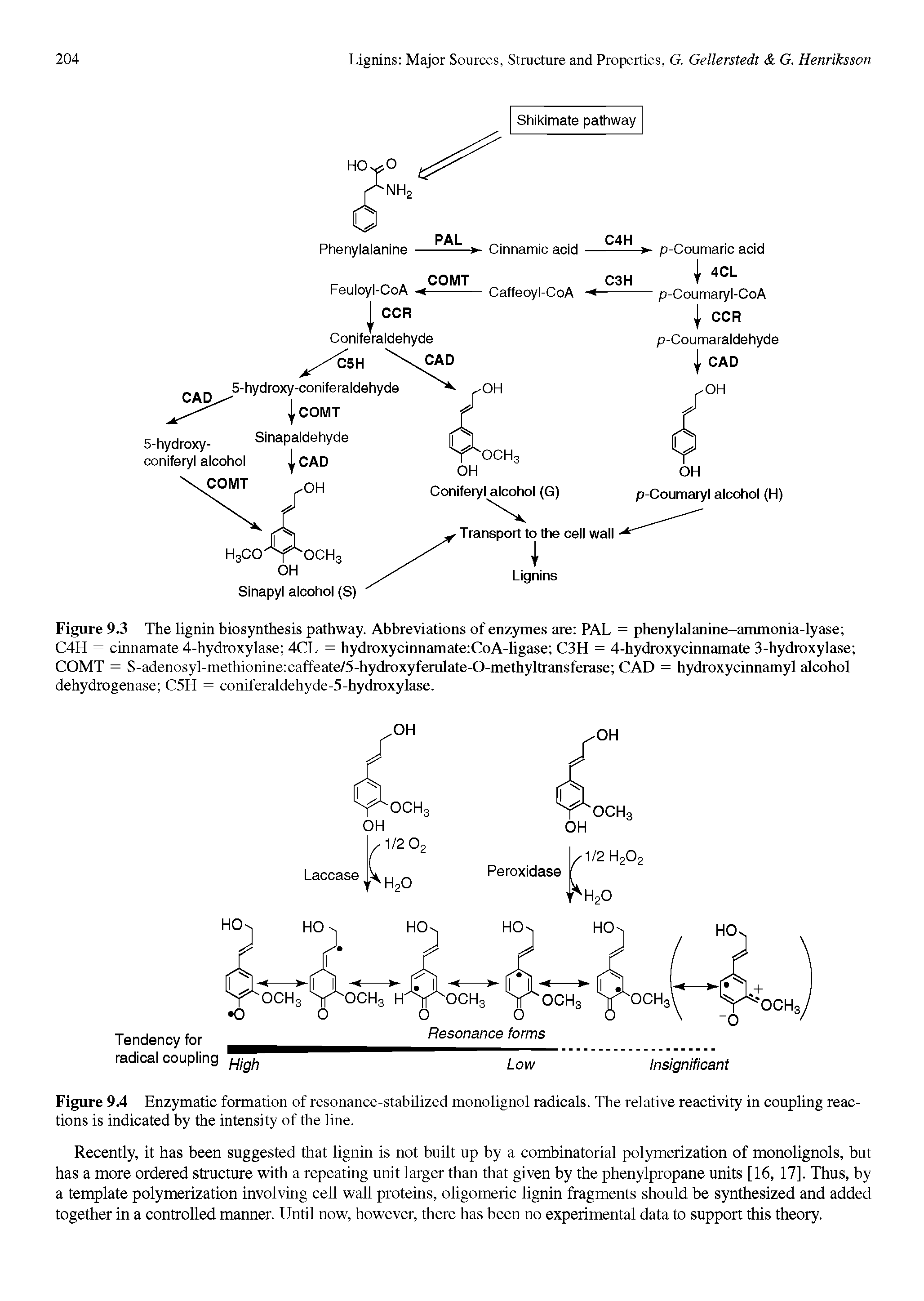 Figure 9.3 The lignin biosynthesis pathway. Abbreviations of enzymes are PAL = phenylalanine-ammonia-lyase C4H = cinnamate 4-hydroxylase 4CL = hydroxycinnamate CoA-ligase C3H = 4-hydroxycinnamate 3-hydroxylase COMT = S-adenosyl-methionine caffeate/5-hydroxyferulate-0-methyltransferase CAD = hydroxycinnamyl alcohol dehydrogenase C5H = coniferaldehyde-5-hydroxylase.