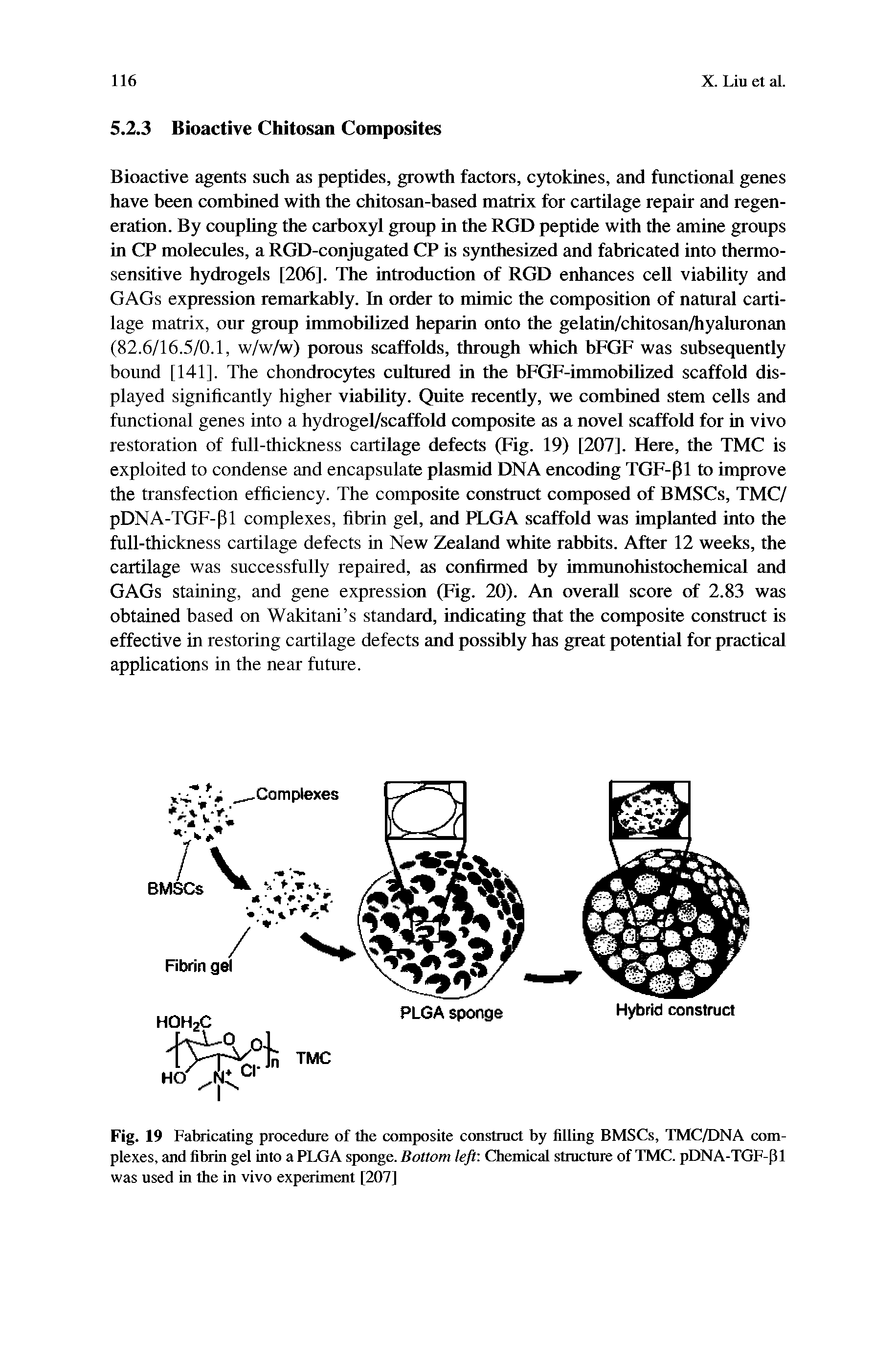 Fig. 19 Fabricating procedure of the composite construct by filling BMSCs, TMC/DNA complexes, and fibrin gel into a PLGA sponge. Bottom left Chemical stmcture of TMC. pDNA-TGF-pi was used in the in vivo experiment [207]...