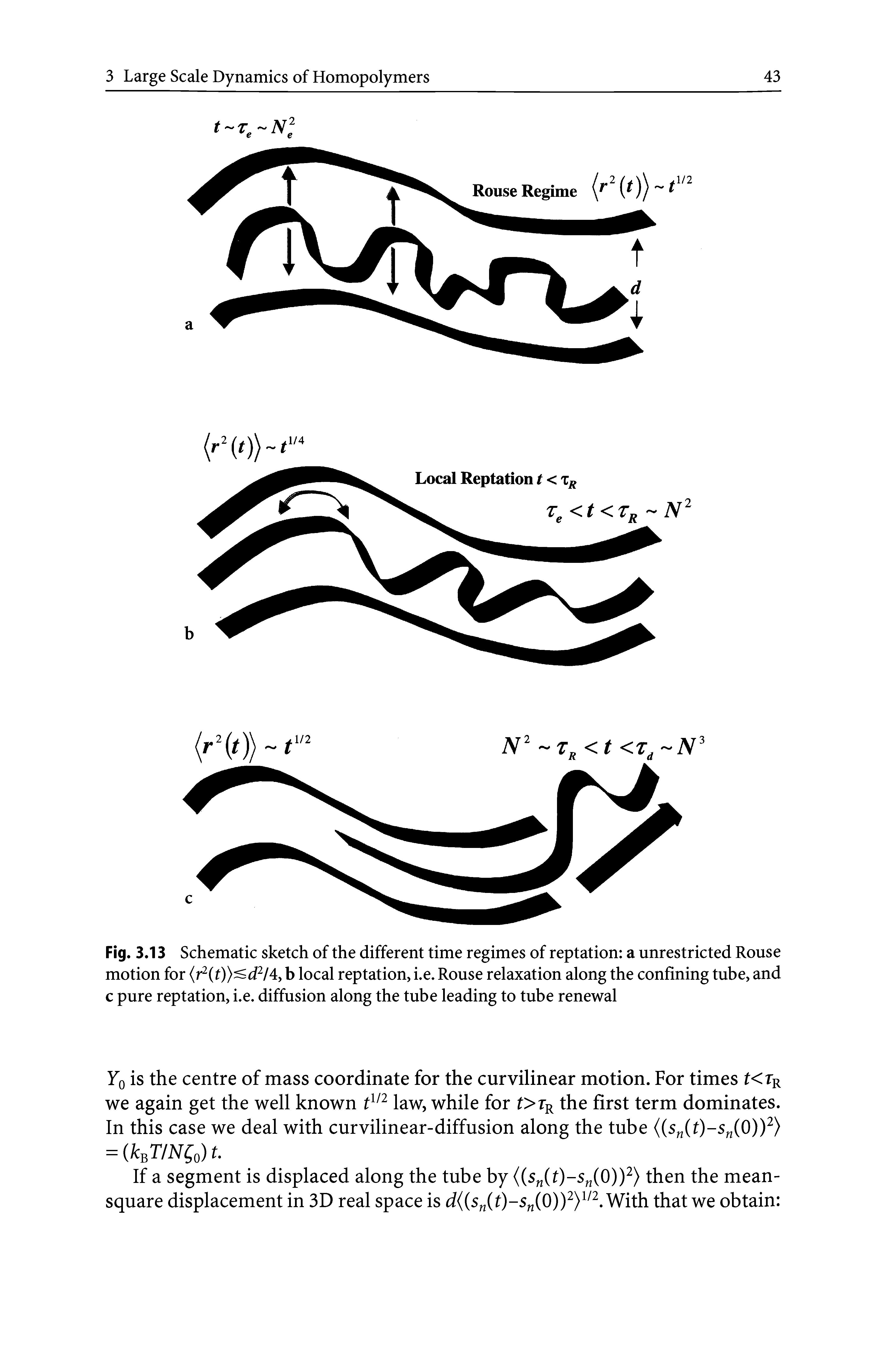 Fig. 3.13 Schematic sketch of the different time regimes of reptation a unrestricted Rouse motion for b local reptation, i.e. Rouse relaxation along the confining tube, and...