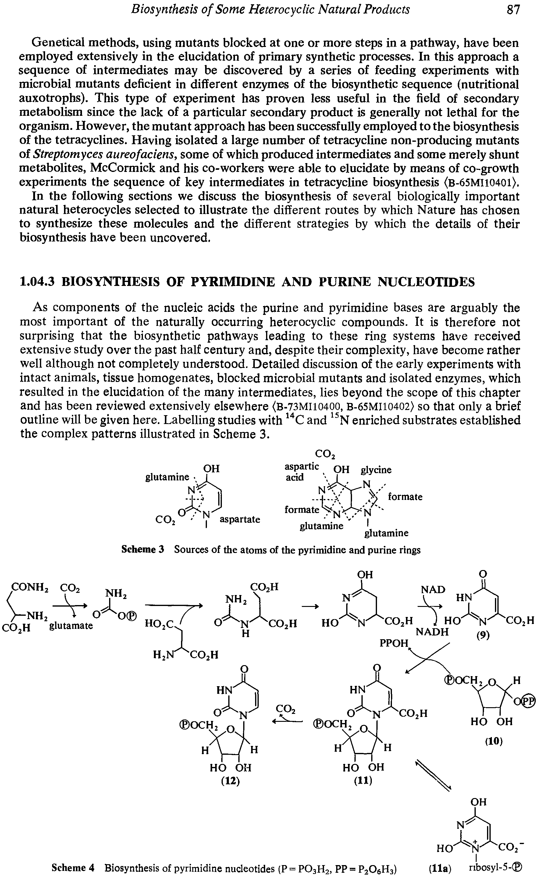 Scheme 4 Biosynthesis of pyrimidine nucleotides (P = P03H2, PP = P206H3) (11a) ribosyl-5- ...