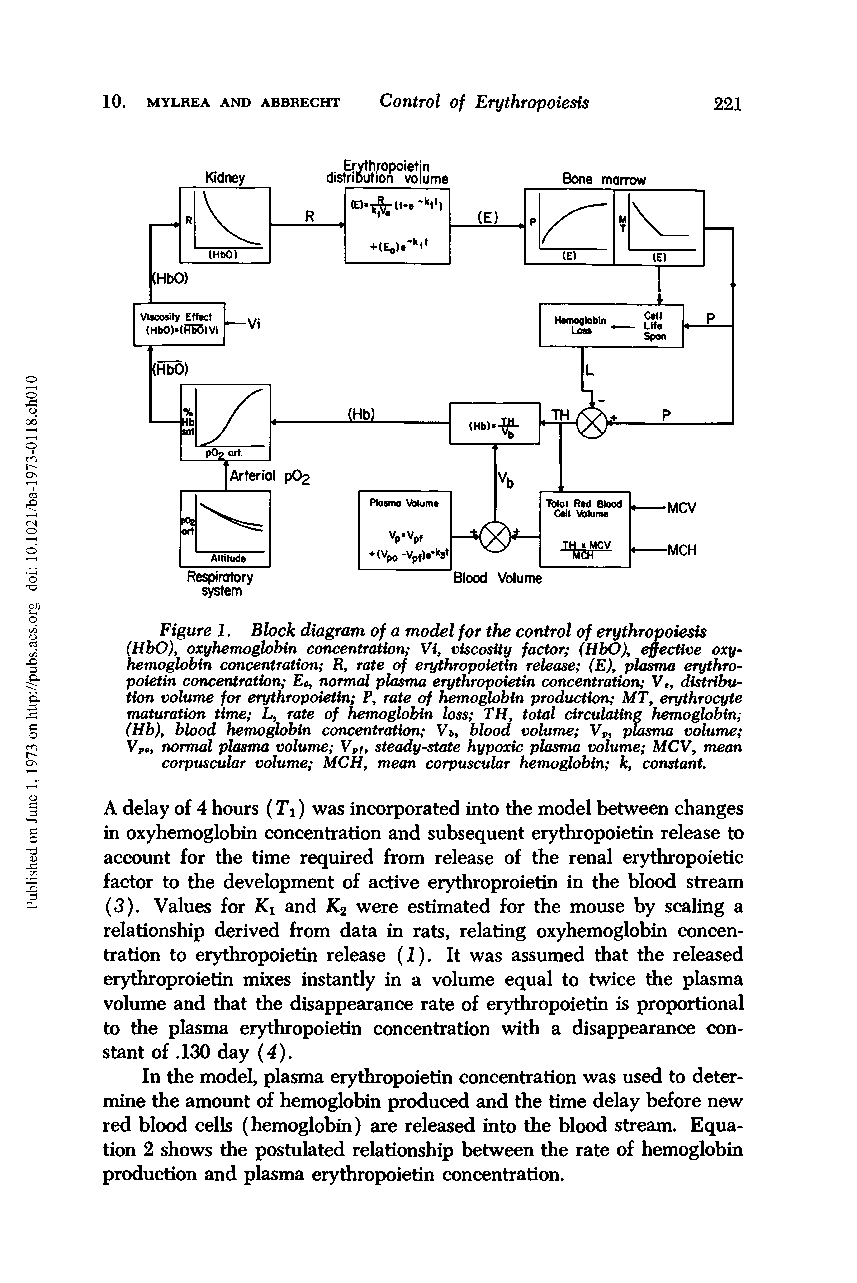 Figure 1. Block diagram of a model for the control of erythropoiesis (HbO), oxyhemoglobin concentration Vi, viscosity factor (HbO), effective oxyhemoglobin concentration R, rate of erythropoietin release (E), plasma erythropoietin concentration E0, normal plasma erythropoietin concentration V , distribution volume for erythropoietin P, rate of hemoglobin production MT, erythrocyte maturation time L, rate of hemoglobin loss TH, total circulating hemoglobin (Hb), blood hemoglobin concentration Vb, blood volume Vp, plasma volume Vp0, normal plasma volume Vpf, steady-state hypoxic plasma volume MCV, mean corpuscular volume MCH, mean corpuscular hemoglobin k, constant...