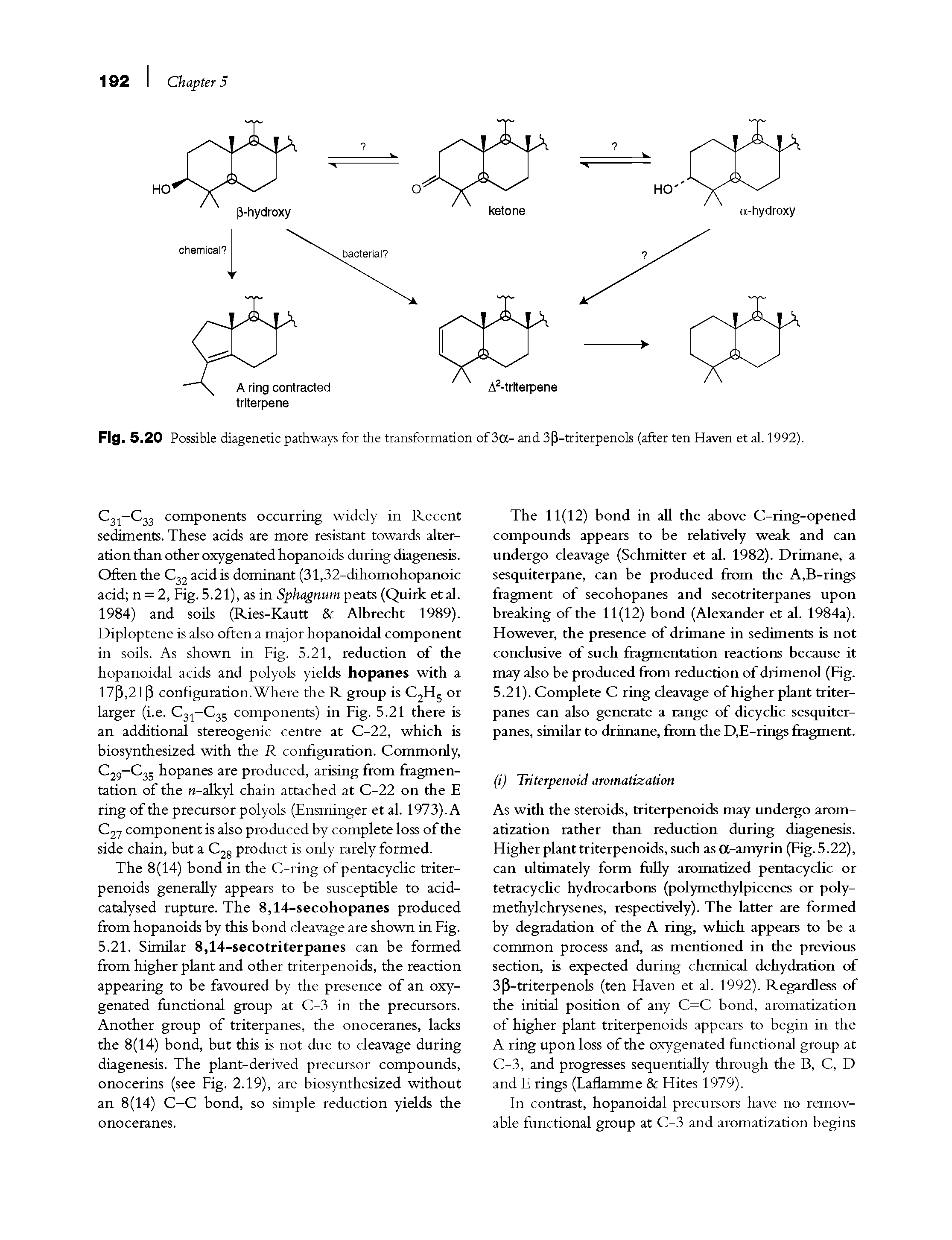Fig. 5.20 Possible diagenetic pathways for the transformation of 3a- and 3 3-triterpenols (after ten Haven et al. 1992).