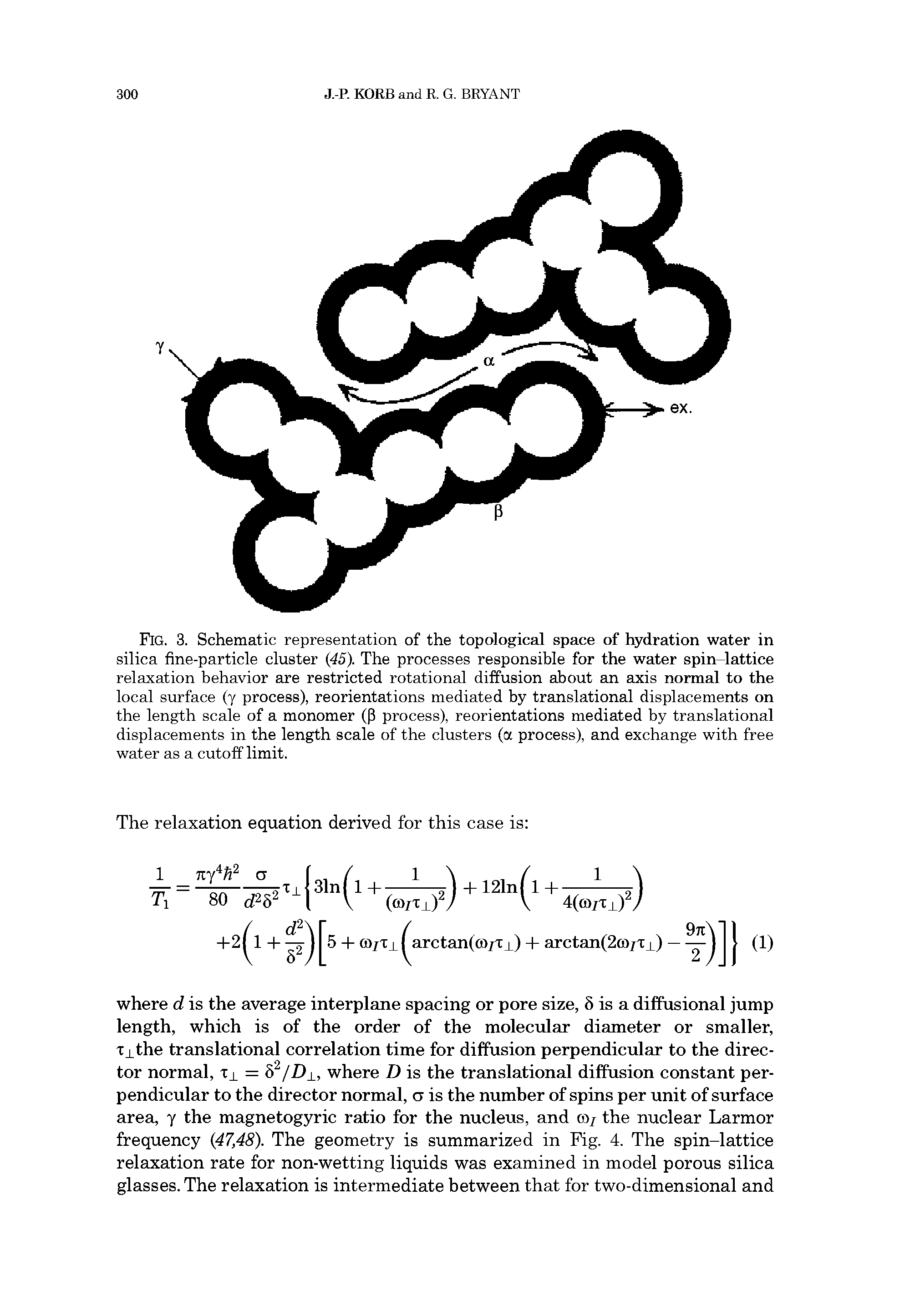 Fig. 3. Schematic representation of the topological space of hydration water in silica fine-particle cluster (45). The processes responsible for the water spin-lattice relaxation behavior are restricted rotational diffusion about an axis normal to the local surface (y process), reorientations mediated by translational displacements on the length scale of a monomer (P process), reorientations mediated by translational displacements in the length scale of the clusters (a process), and exchange with free water as a cutoff limit.