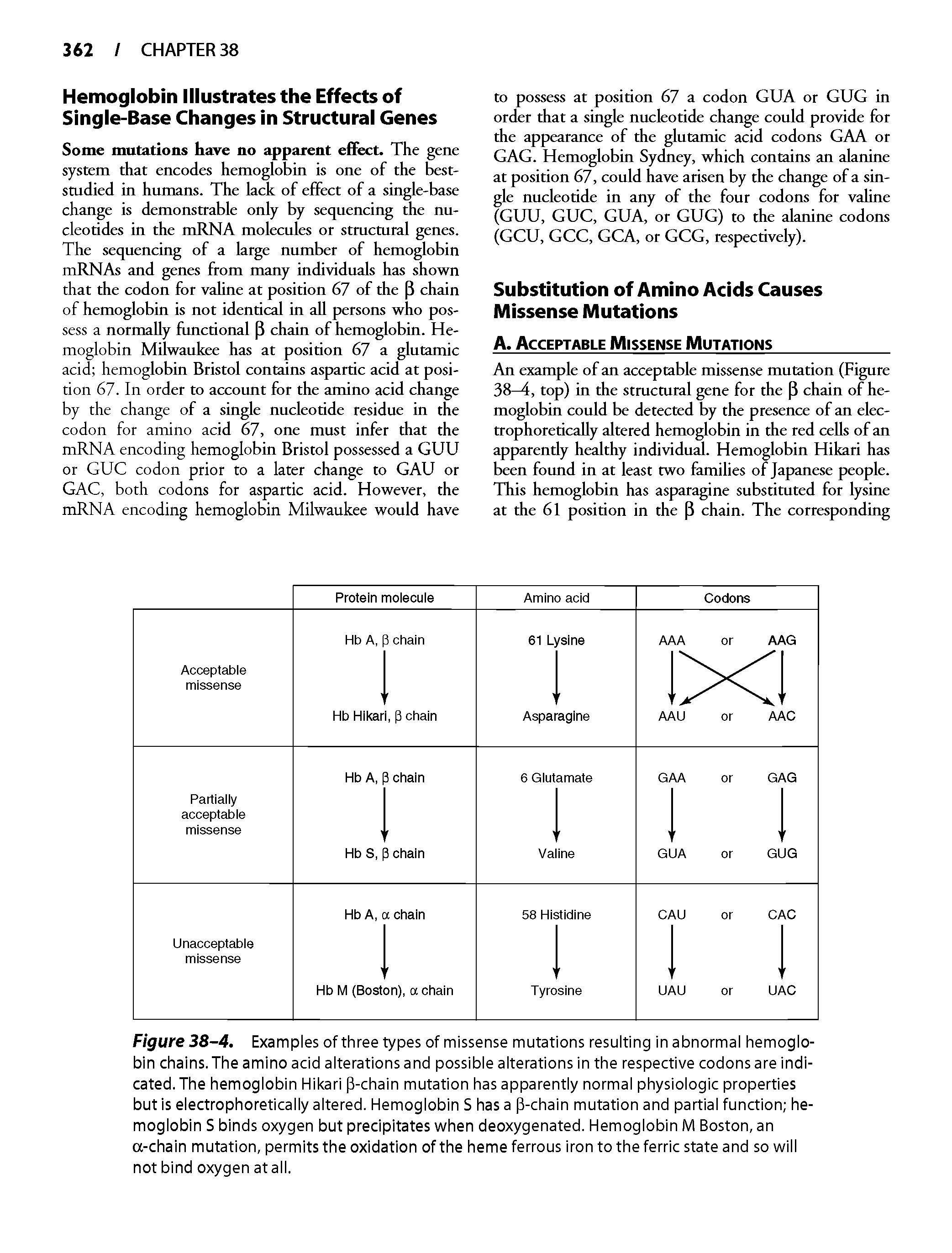 Figure 38-4. Examples of three types of missense mutations resulting in abnormal hemoglobin chains. The amino acid alterations and possible alterations in the respective codons are indicated. The hemoglobin Hikari p-chain mutation has apparently normal physiologic properties but is electrophoretically altered. Hemoglobin S has a p-chain mutation and partial function hemoglobin S binds oxygen but precipitates when deoxygenated. Hemoglobin M Boston, an a-chain mutation, permits the oxidation of the heme ferrous iron to the ferric state and so will not bind oxygen at all.