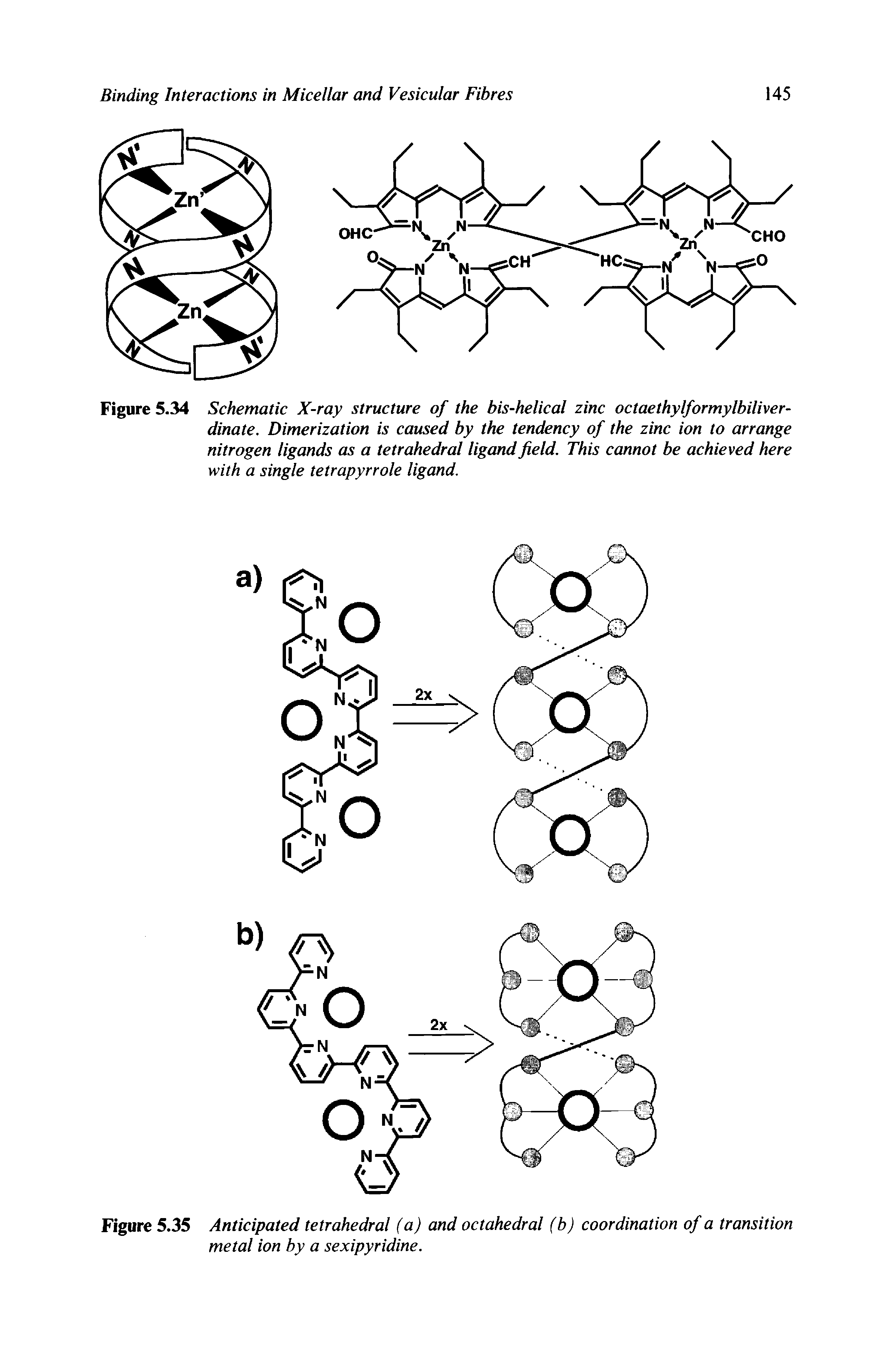 Figure 5.34 Schematic X-ray structure of the bis-helical zinc octaethylformylbiliver-dinate. Dimerization is caused by the tendency of the zinc ion to arrange nitrogen ligands as a tetrahedral ligand field. This cannot be achieved here with a single tetrapyrrole ligand.
