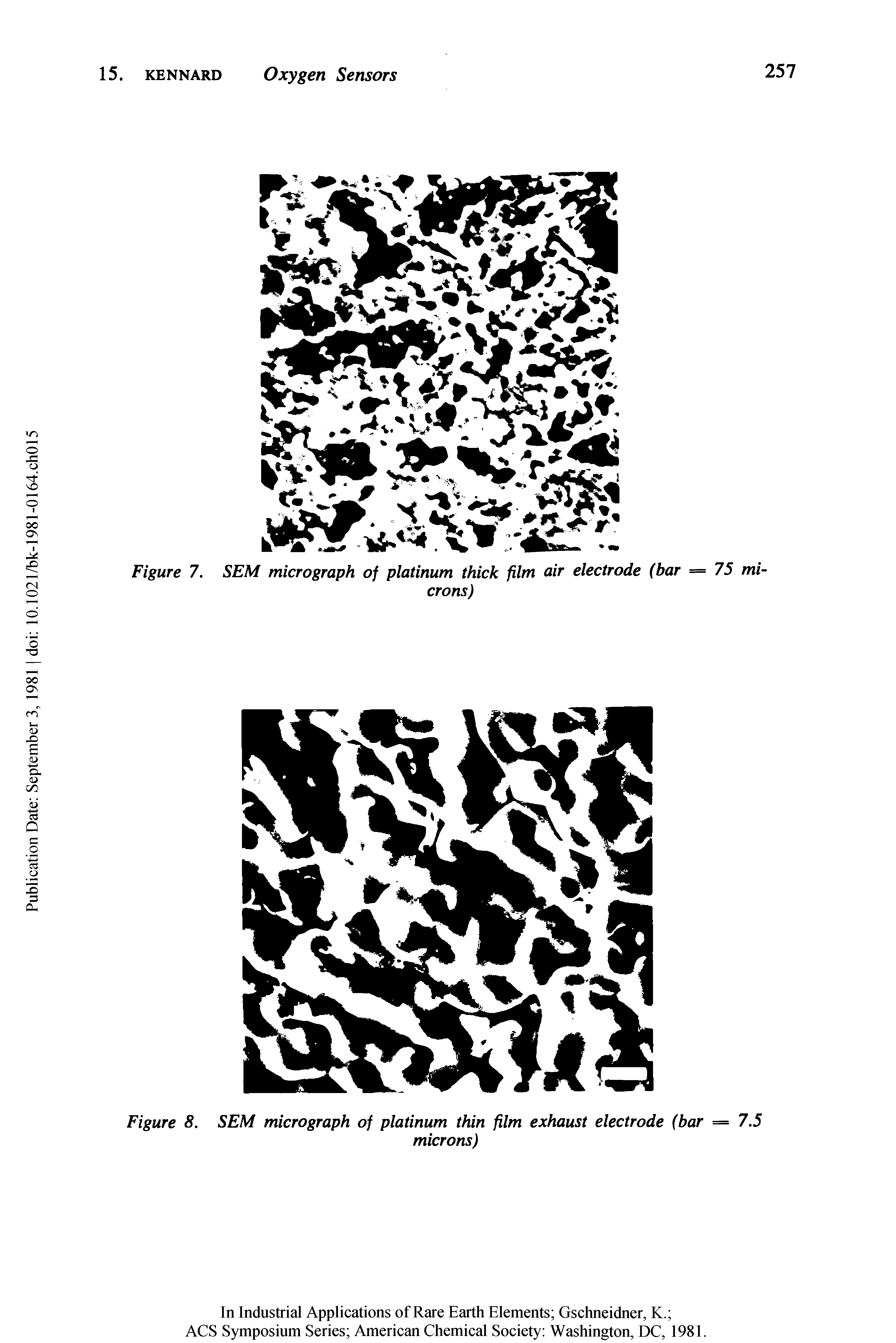 Figure 8. SEM micrograph of platinum thin film exhaust electrode (bar = 7.5...