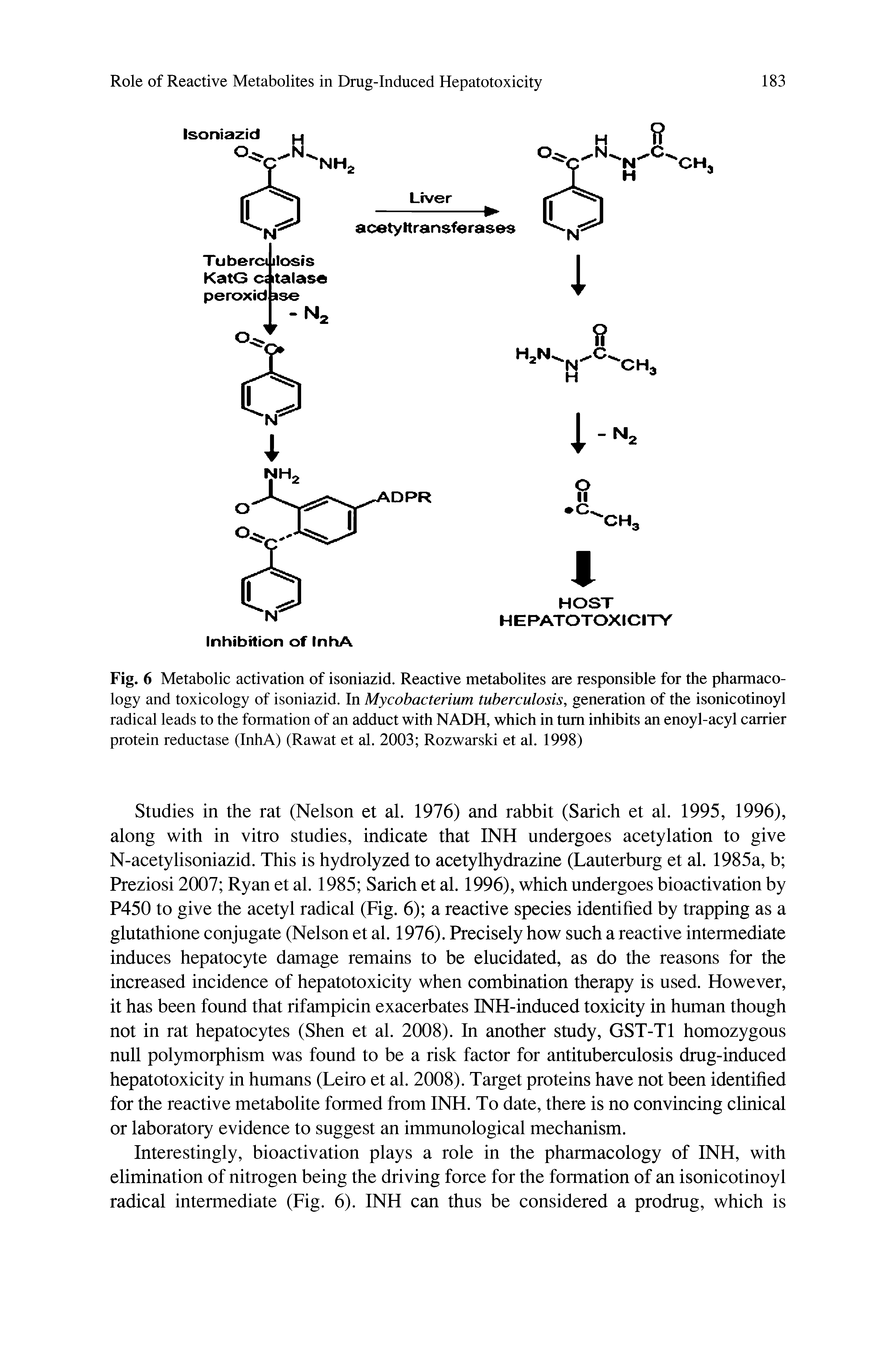 Fig. 6 Metabolic activation of isoniazid. Reactive metabolites are responsible for the pharmacology and toxicology of isoniazid. In Mycobacterium tuberculosis, generation of the isonicotinoyl radical leads to the formation of an adduct with NADH, which in turn inhibits an enoyl-acyl carrier protein reductase (InhA) (Rawat et al. 2003 Rozwarski et al. 1998)...