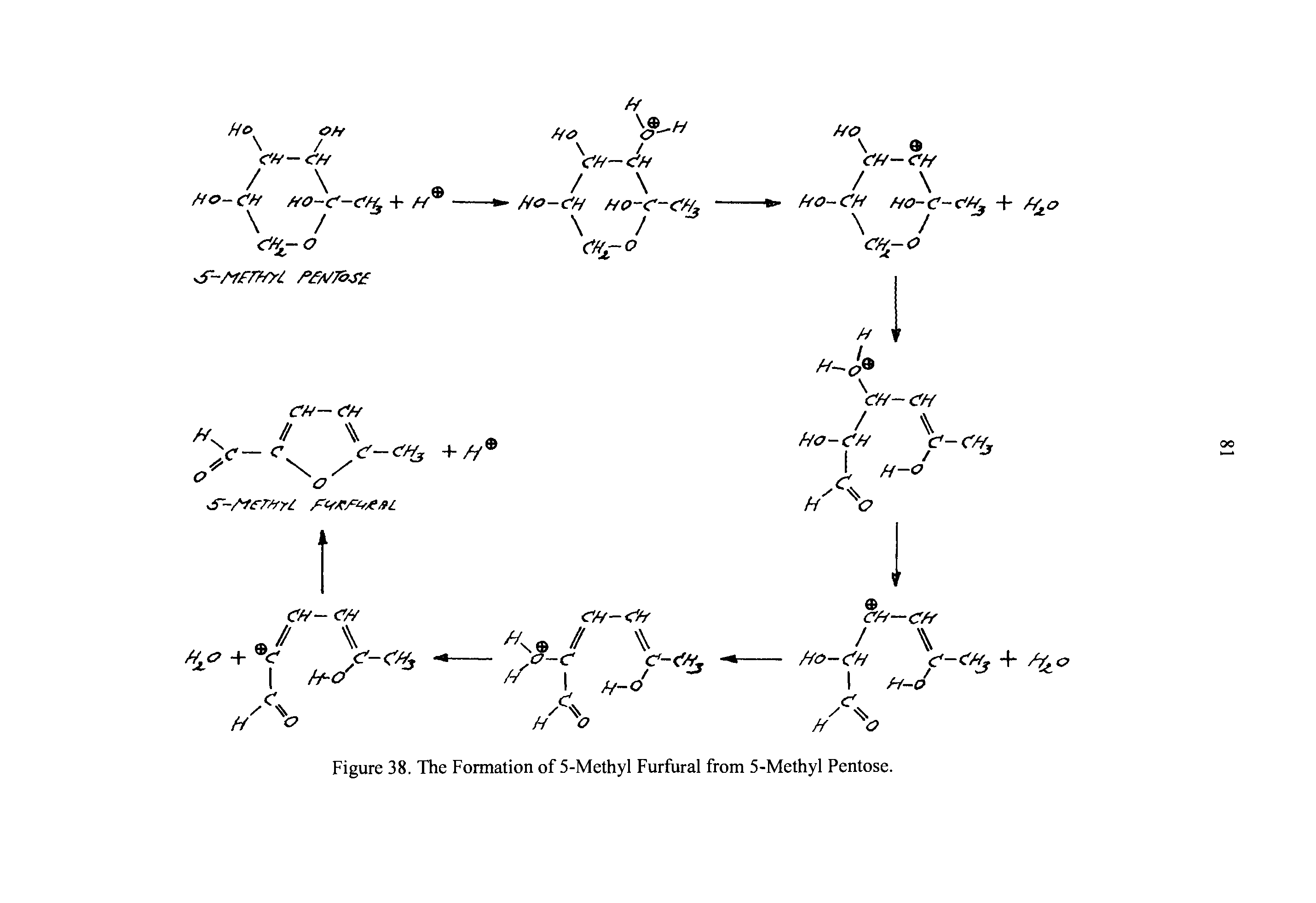 Figure 38. The Formation of 5-Methyl Furfural from 5-Methyl Pentose.