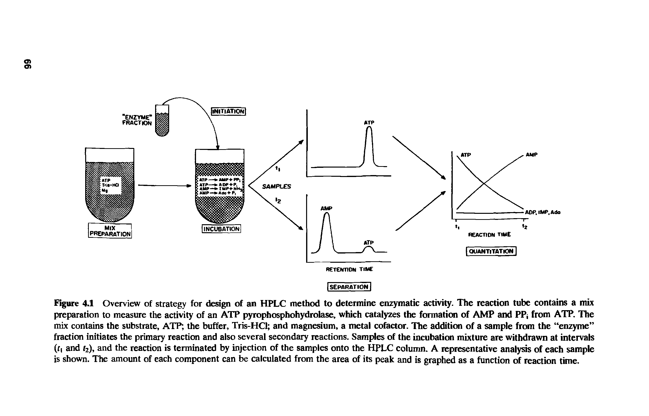 Figure 4.1 Overview of strategy for design of an HPLC method to determine enzymatic activity. The reaction tube contains a mix preparation to measure the activity of an ATP pyrophosphohydrolase, which catalyzes the formation of AMP and PPj from ATP. The mix contains the substrate, ATP the buffer, Tris-HCl and magnesium, a metal cofactor. The addition of a sample from the enzyme fraction initiates the primary reaction and also several secondary reactions. Samples of the incubation mixture are withdrawn at intervals (r( and r2), and the reaction is terminated by injection of the samples onto the HPLC column. A representative analysis of each sample is shown. The amount of each component can be calculated from the area of its peak and is graphed as a function of reaction time.