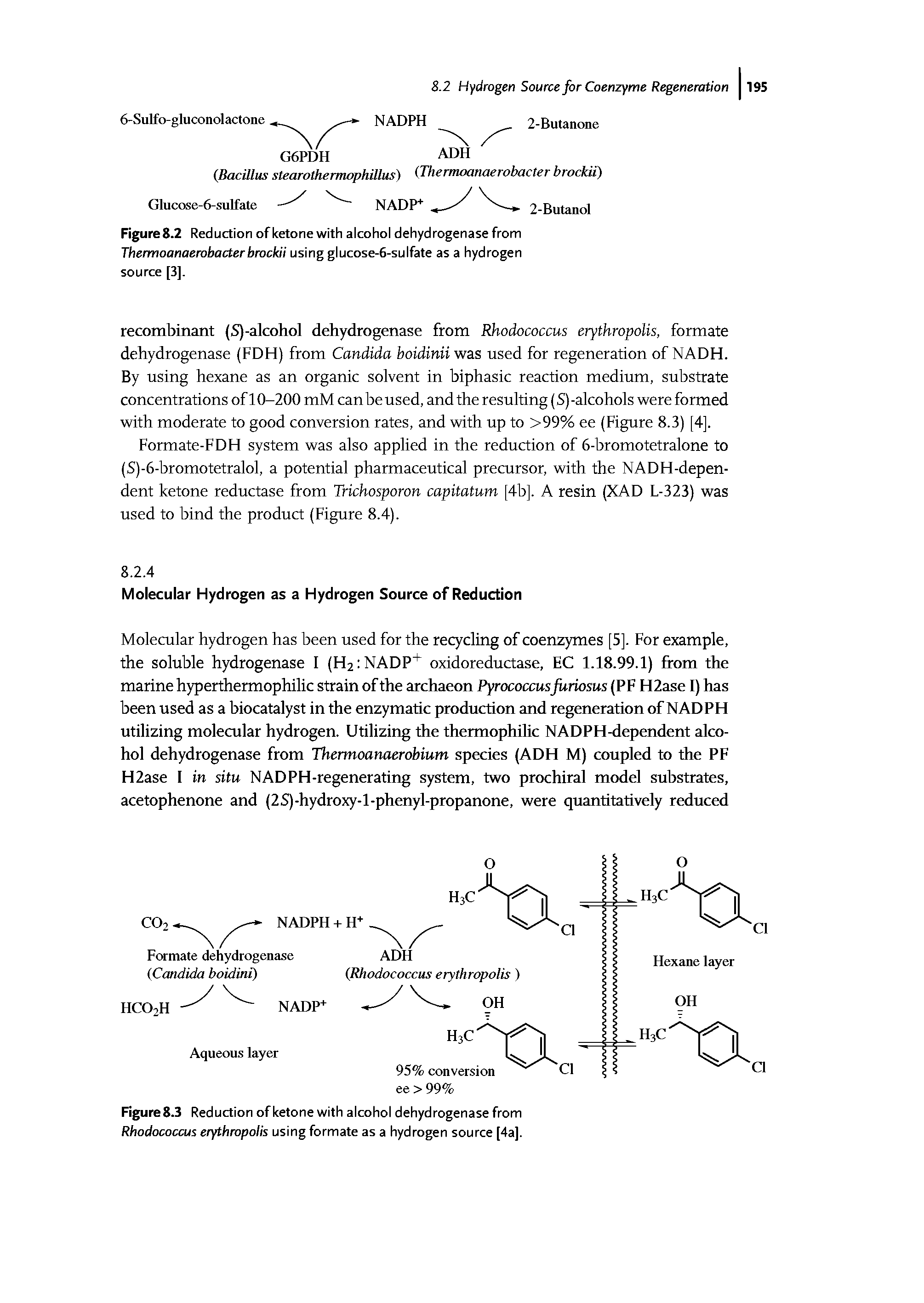 Figure 8.2 Reduction of ketone with alcohol dehydrogenase from Thermoanaerobacter brockii using glucose-6-sulfate as a hydrogen source [3],...