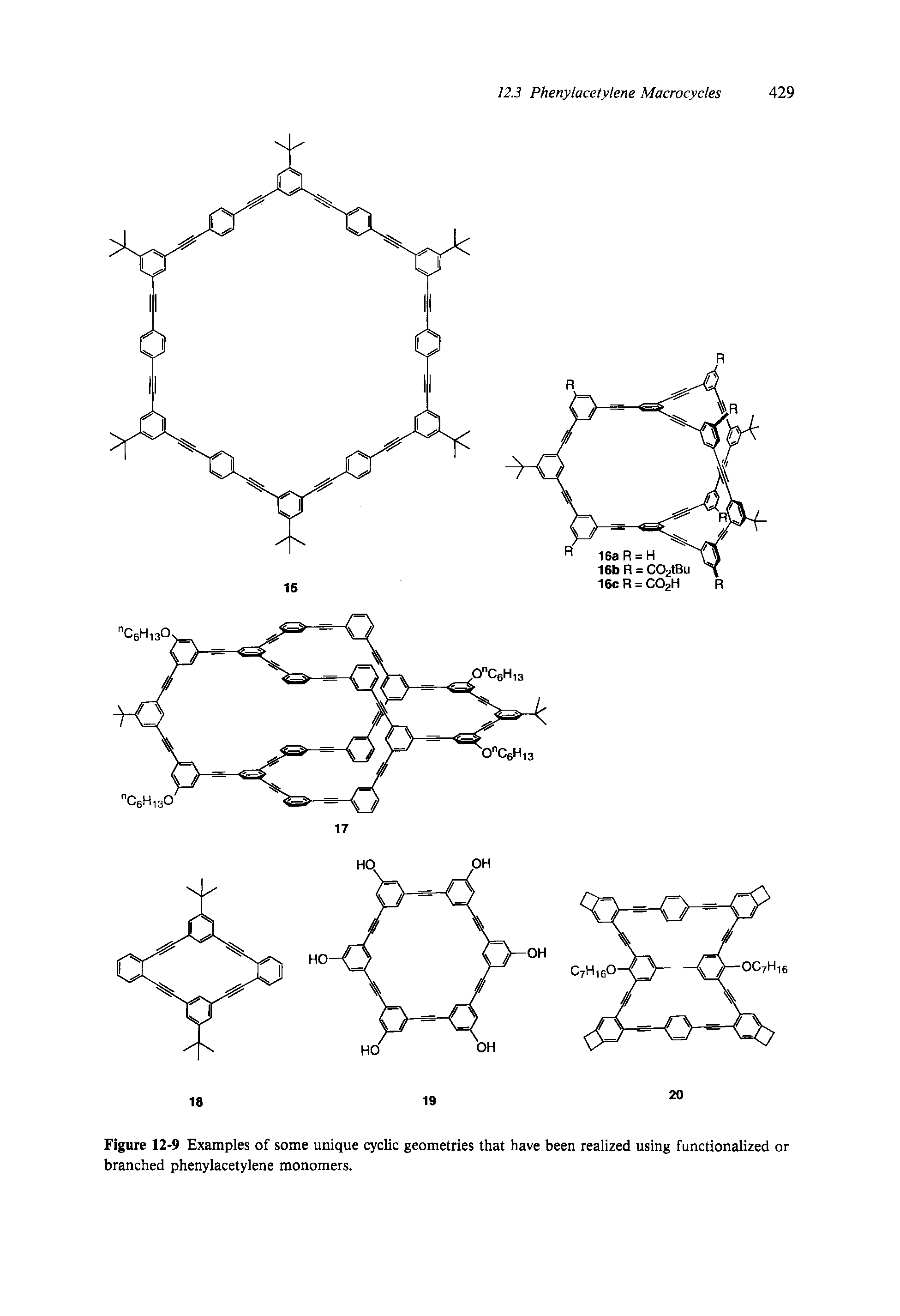 Figure 12-9 Examples of some unique cyclic geometries that have been realized using functionalized or branched phenylacetylene monomers.