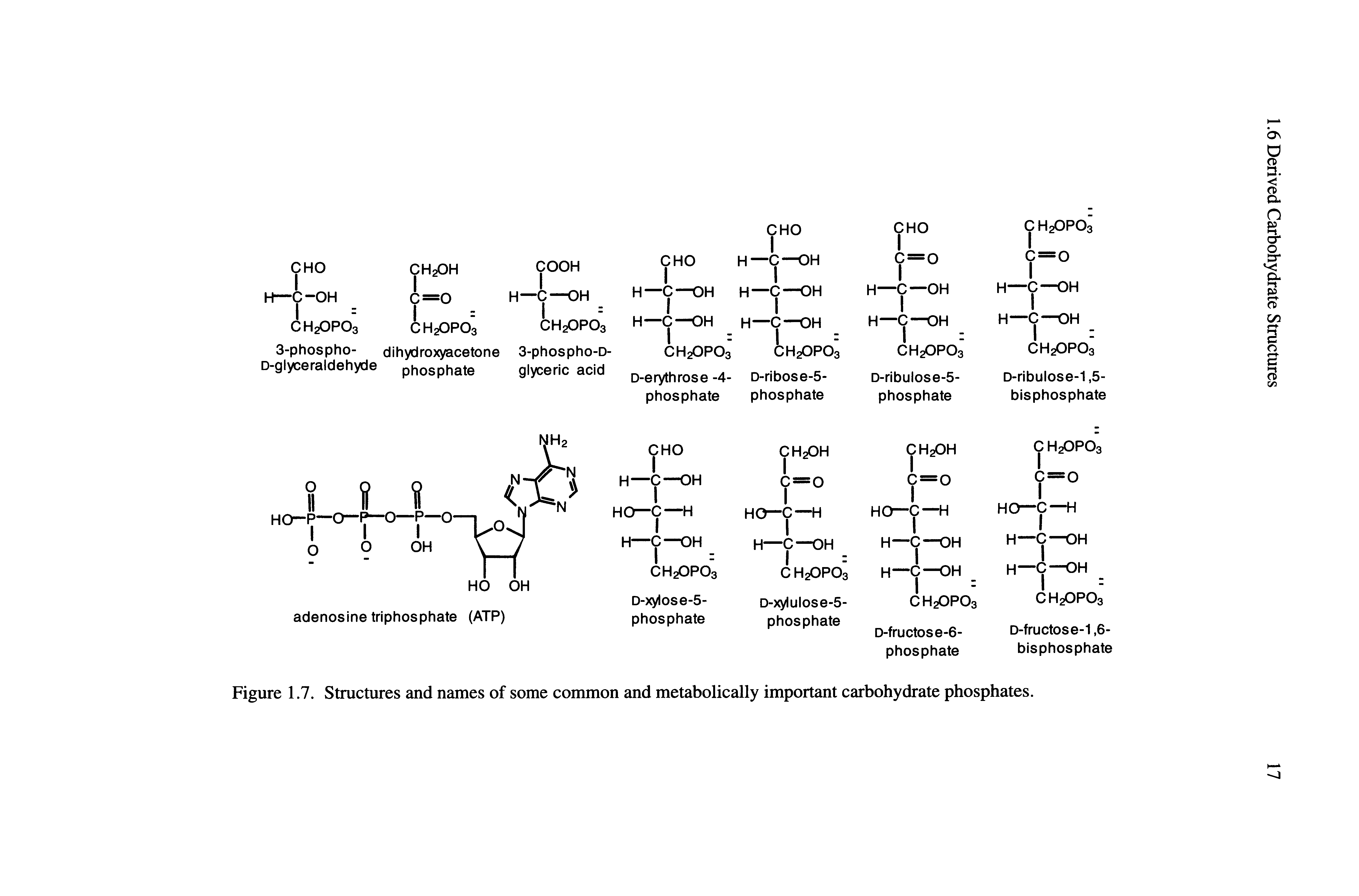 Figure 1.7. Structures and names of some common and metabolically important carbohydrate phosphates.
