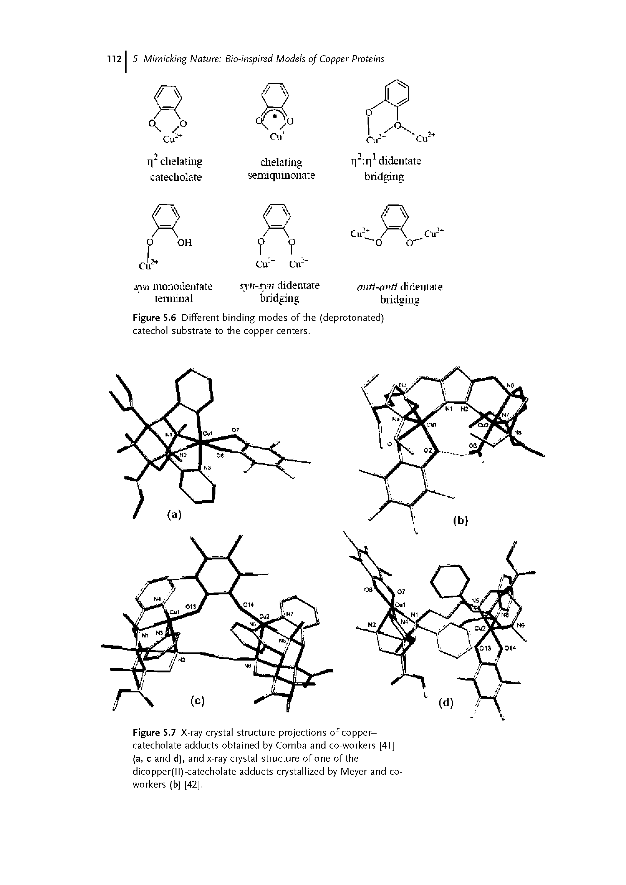 Figure 5.7 X-ray crystal structure projections of copper-catecholate adducts obtained by Comba and co-workers [41] (a, c and d), and x-ray crystal structure of one of the dicopper(ll)-catecholate adducts crystallized by Meyer and coworkers (b) [42],...