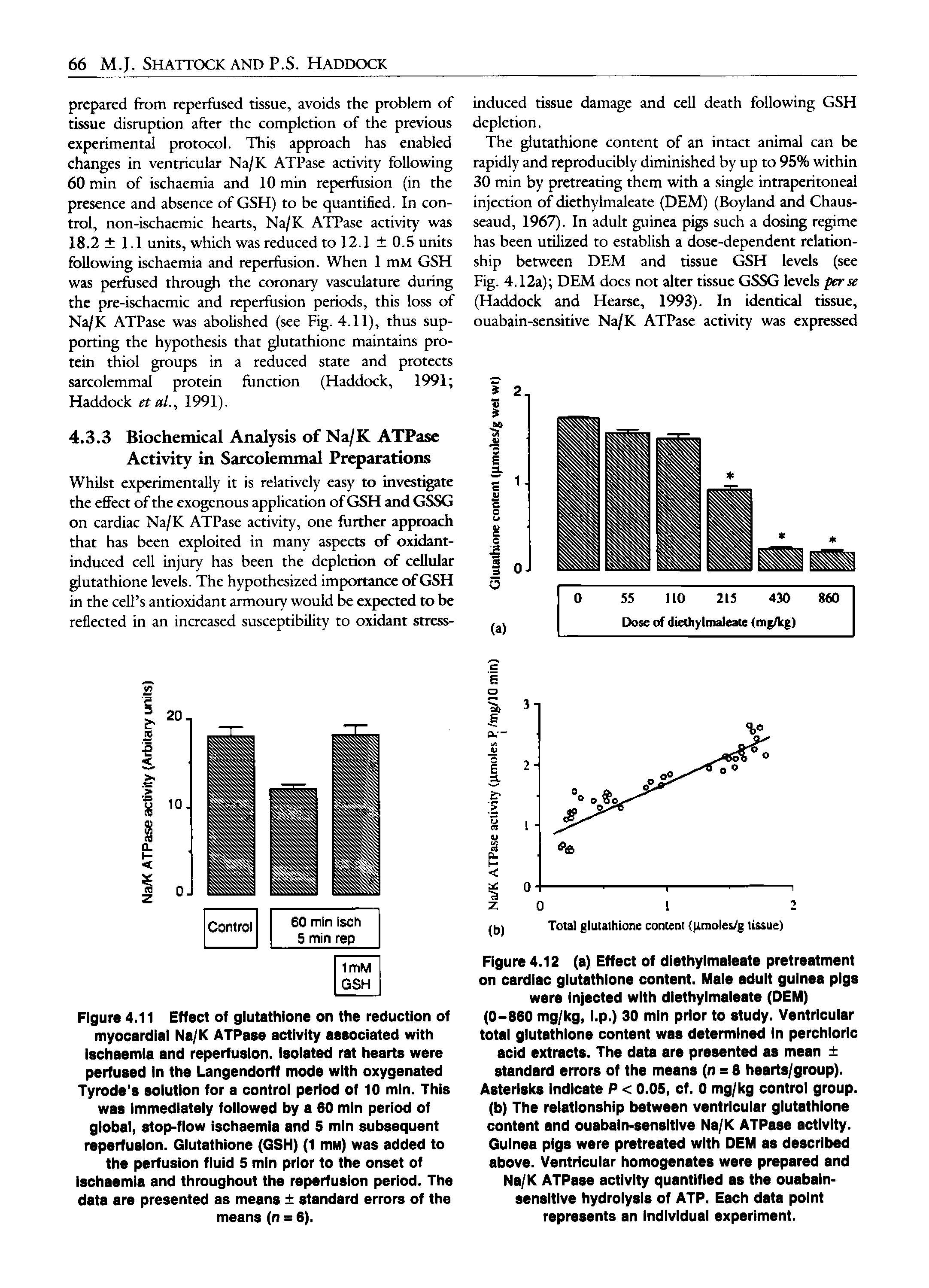 Figure 4.11 Effect of glutathione on the reduction of myocardial Na/K ATPase activity associated with Ischaemia and reperfuslon. Isolated rat hearts were perfused in the Langendorff mode with oxygenated Tyrode s solution for a control period of 10 min. This was immediately followed by a 60 min period of global, stop-flow ischaemia and 5 min subsequent reperfuslon. Glutathione (GSH) (1 mM) was added to the perfusion fluid 5 min prior to the onset of Ischaemia and throughout the reperfuslon period. The data are presented as means standard errors of the means (n = 6).