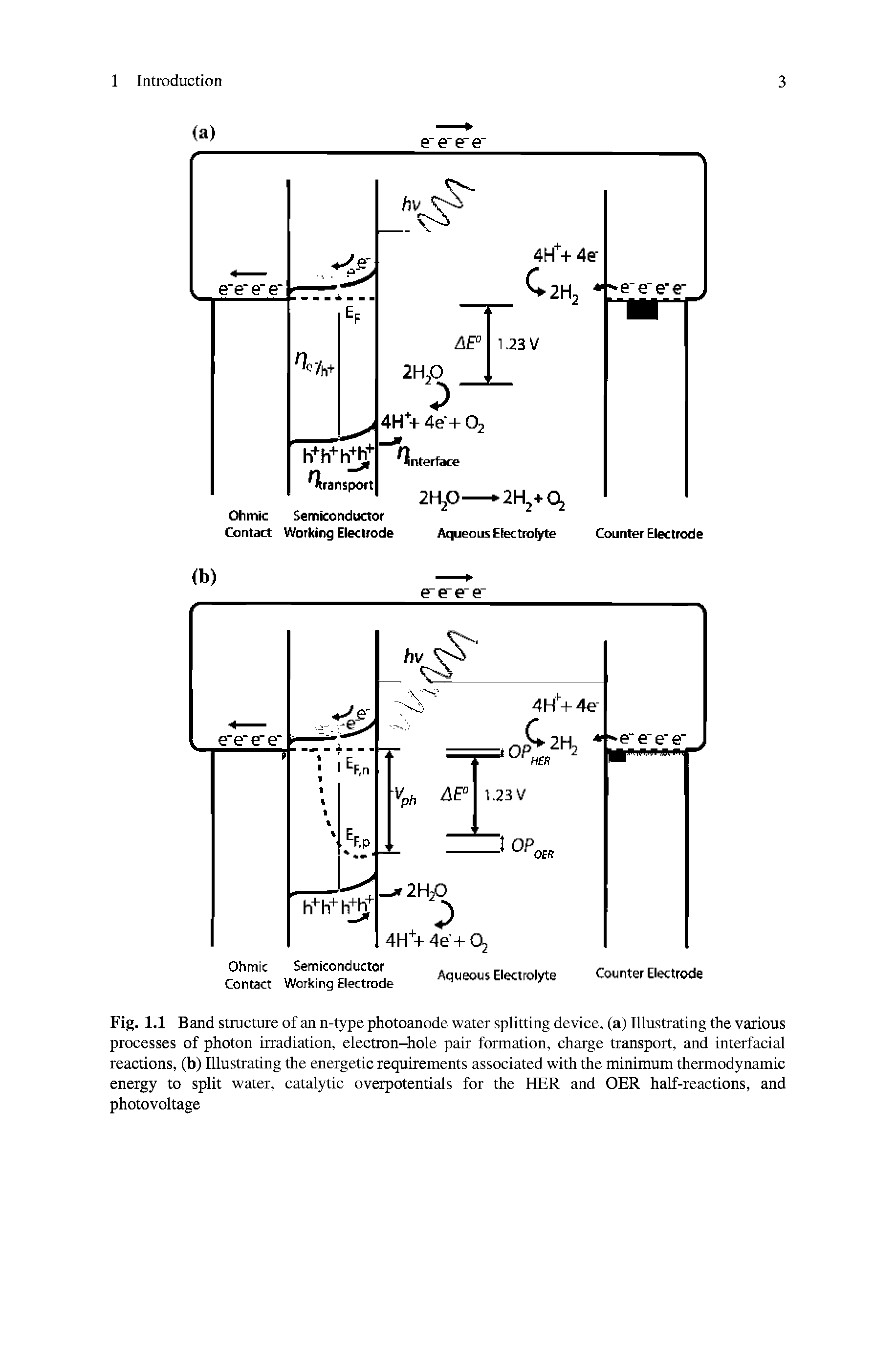 Fig. 1.1 Band structure of an n-type photoanode water splitting device, (a) Illustrating the various processes of photon irradiation, electron-hole pair formation, charge transport, and interfadal reactions, (b) Illustrating the energetic requirements associated with the minimum thermodynamic energy to split water, catalytic overpotentials for the HER and OER half-reactions, and photovoltage...