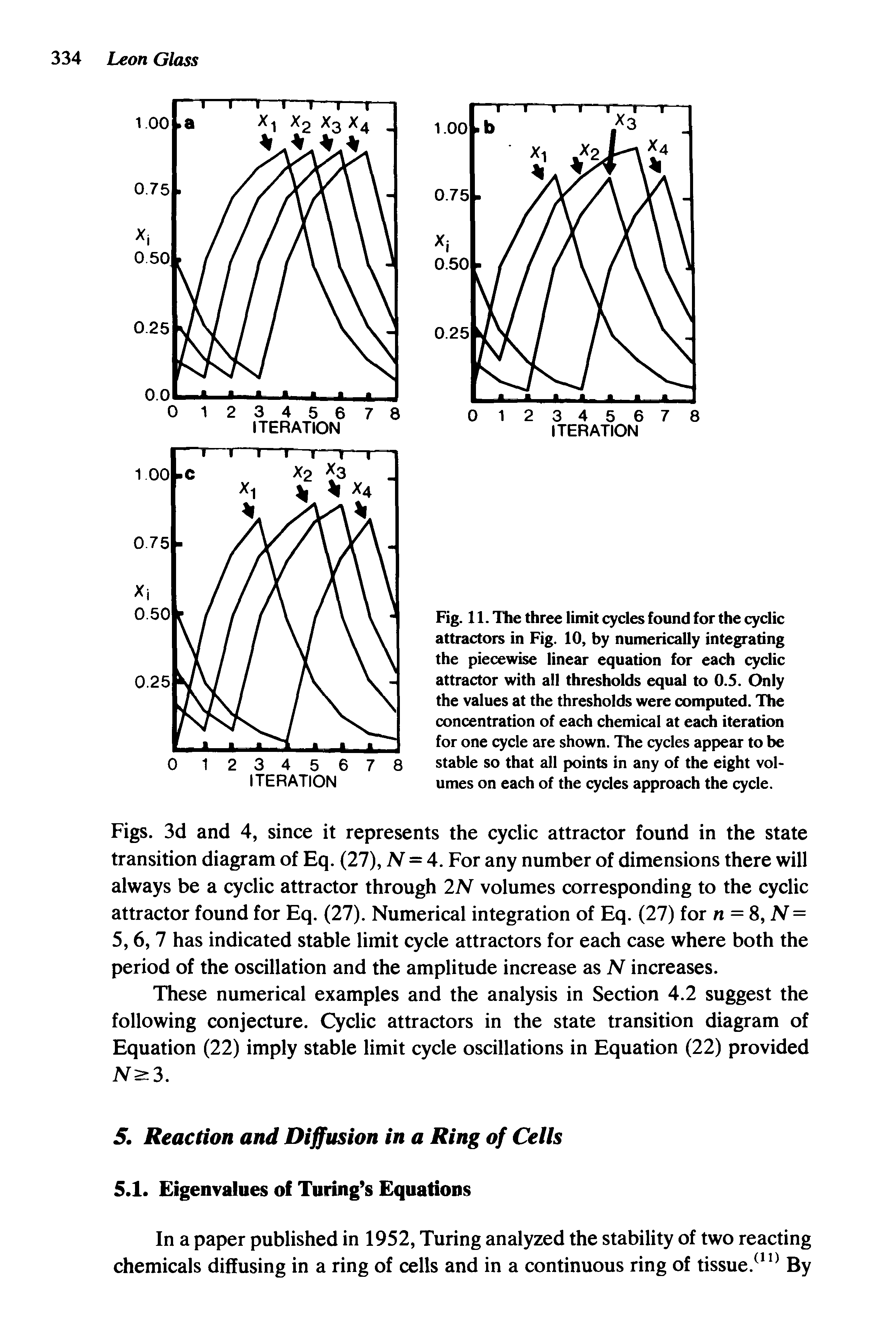 Fig. 11. The three limit cycles found for the cyclic attractors in Fig. 10, by numerically integrating the piecewise linear equation for each cyclic attractor with all thresholds equal to 0.5. Only the values at the thresholds were computed. The concentration of each chemical at each iteration for one cycle are shown. Tlie cycles appear to be stable so that all points in any of the eight volumes on each of the cycles approach the cycle.