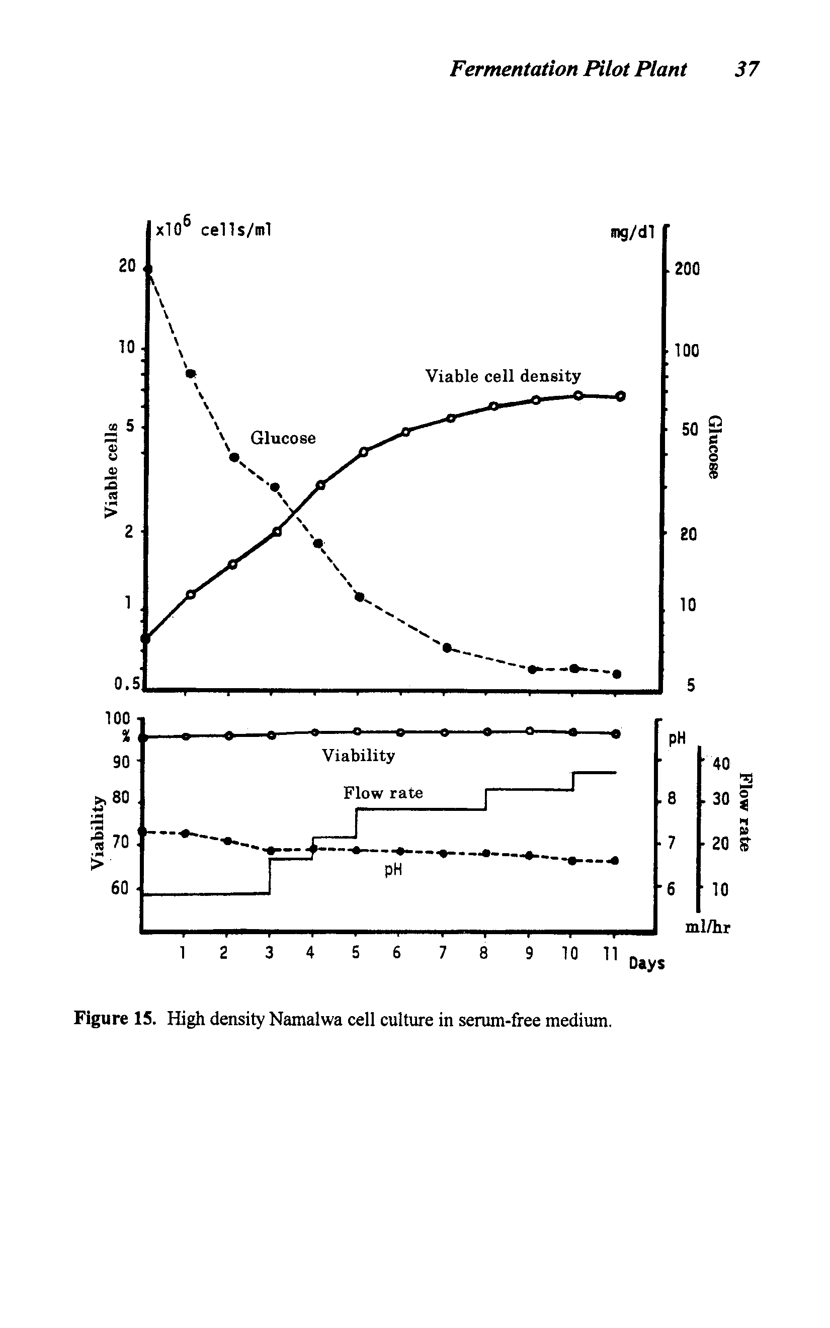 Figure 15. High density Namalwa cell culture in serum-free medium.