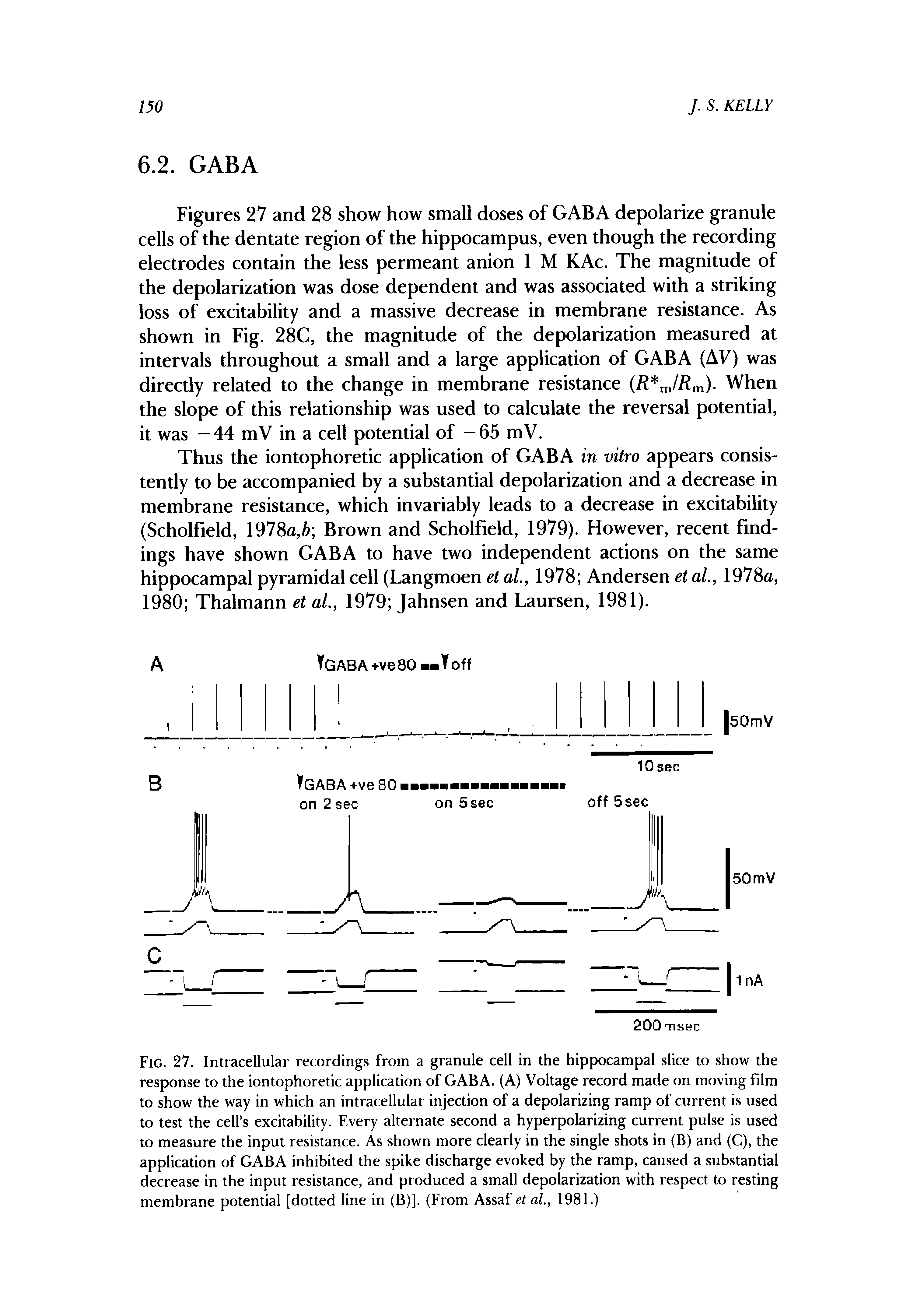 Fig. 27. Intracellular recordings from a granule cell in the hippocampal slice to show the response to the iontophoretic application of GABA. (A) Voltage record made on moving film to show the way in which an intracellular injection of a depolarizing ramp of current is used to test the cell s excitability. Every alternate second a hyperpolarizing current pulse is used to measure the input resistance. As shown more clearly in the single shots in (B) and (C), the application of GABA inhibited the spike discharge evoked by the ramp, caused a substantial decrease in the input resistance, and produced a small depolarization with respect to resting membrane potential [dotted line in (B)]. (From Assaf et ai, 1981.)...
