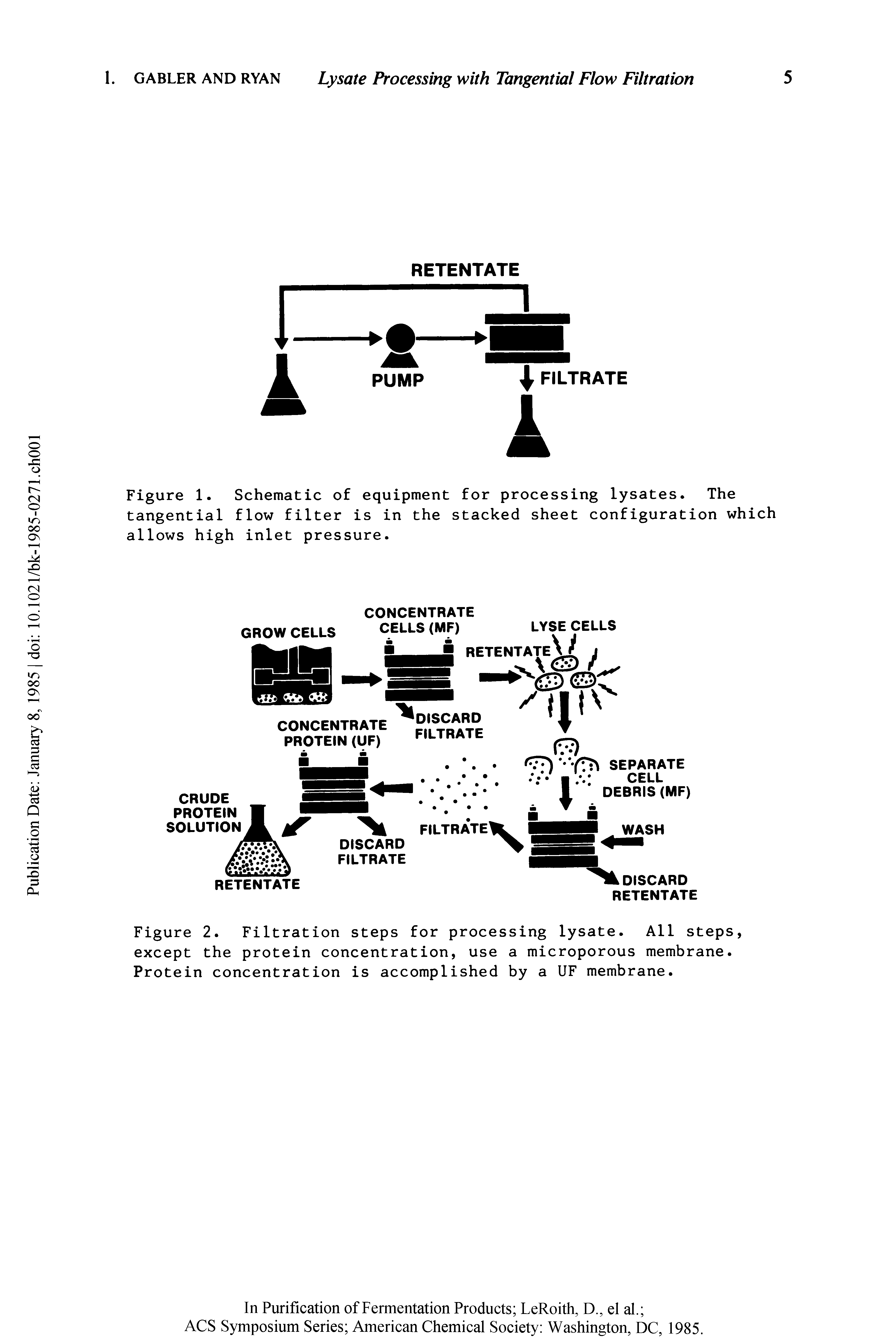 Figure 2. Filtration steps for processing lysate. All steps, except the protein concentration, use a microporous membrane. Protein concentration is accomplished by a UF membrane.