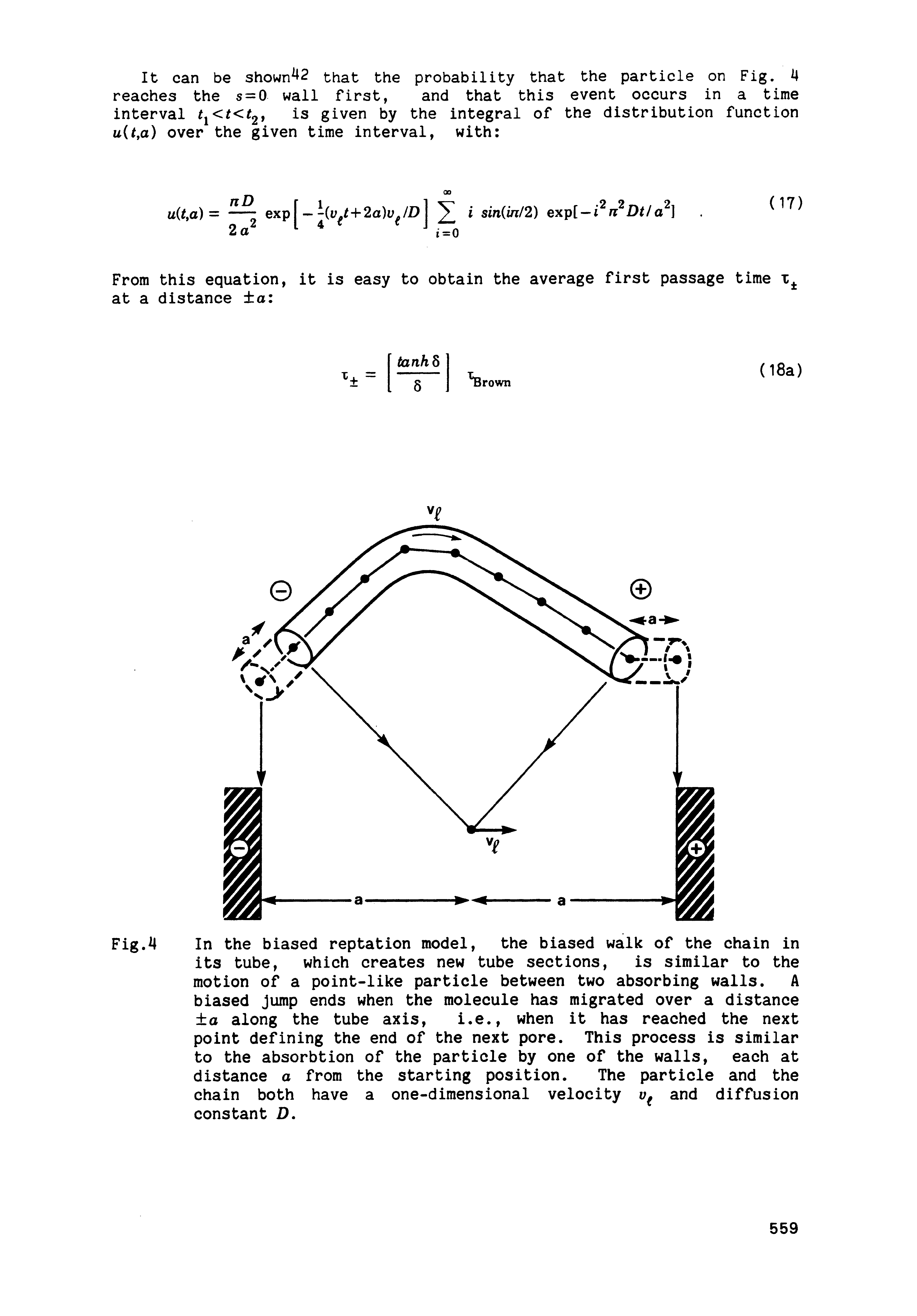 Fig.4 In the biased reptation model, the biased walk of the chain in its tube, which creates new tube sections, is similar to the motion of a point-like particle between two absorbing walls. A biased Jump ends when the molecule has migrated over a distance a along the tube axis, i.e., when it has reached the next point defining the end of the next pore. This process is similar to the absorbtion of the particle by one of the walls, each at distance a from the starting position. The particle and the chain both have a one-dimensional velocity and diffusion constant D.