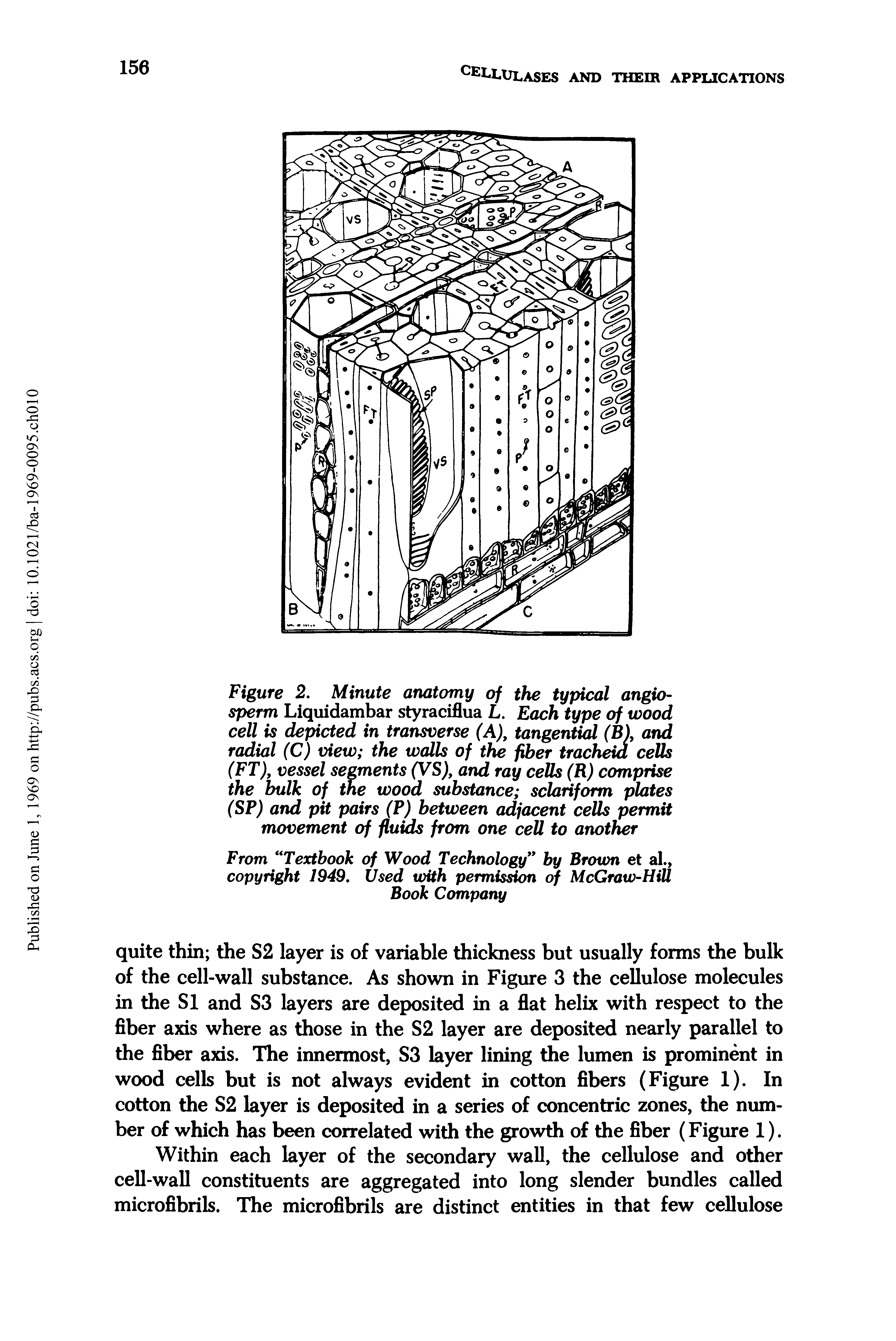 Figure 2. Minute anatomy of the typical angio-sperm Liquidambar styraciflua L. Each type of wood cell is depicted in transverse (A), tangential (B), and radial (C) view the walls of the fiber tracheid cells (FT), vessel segments (VS), and ray cells (R) comprise the bulk of the wood substance sclariform plates (SP) and pit pairs ( ) between adjacent cells permit movement of fluids from one cell to another...