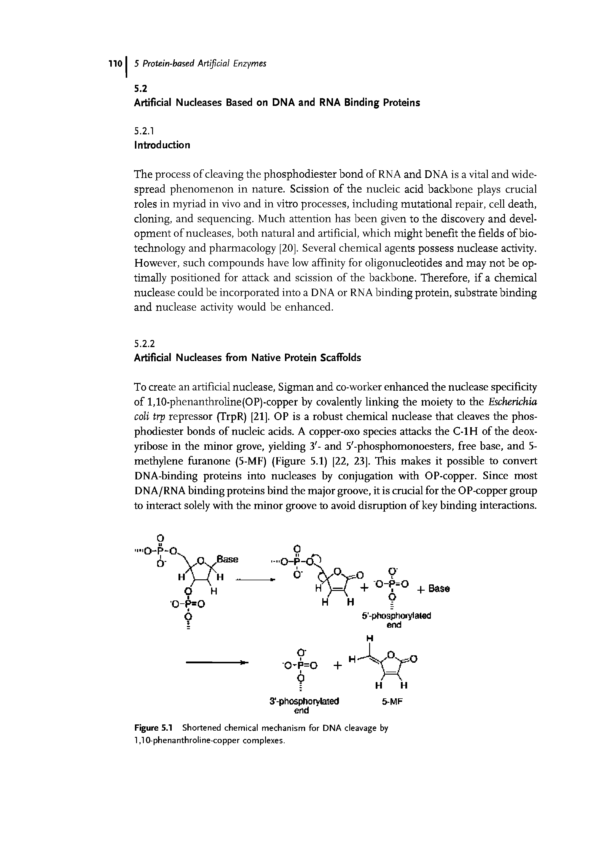 Figure 5.1 Shortened chemical mechanism for DNA cleavage by 1,10-phenanthroline-copper complexes.