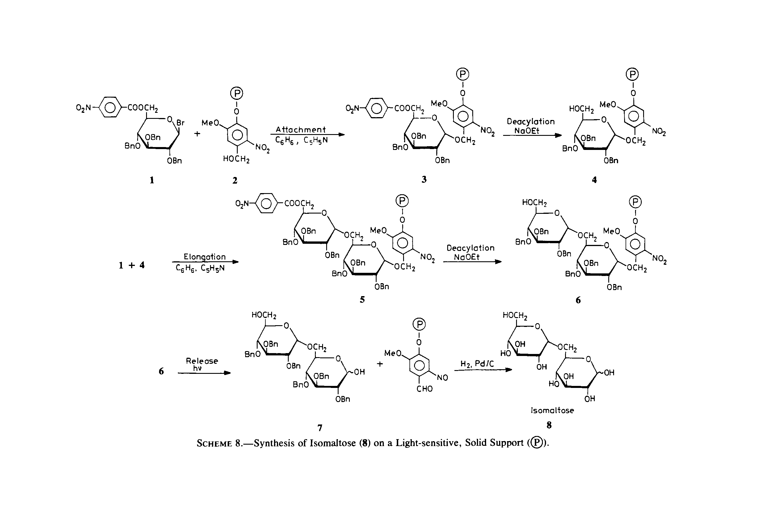 Scheme 8.—Synthesis of Isomaltose (8) on a Light-sensitive, Solid Support ((P)).