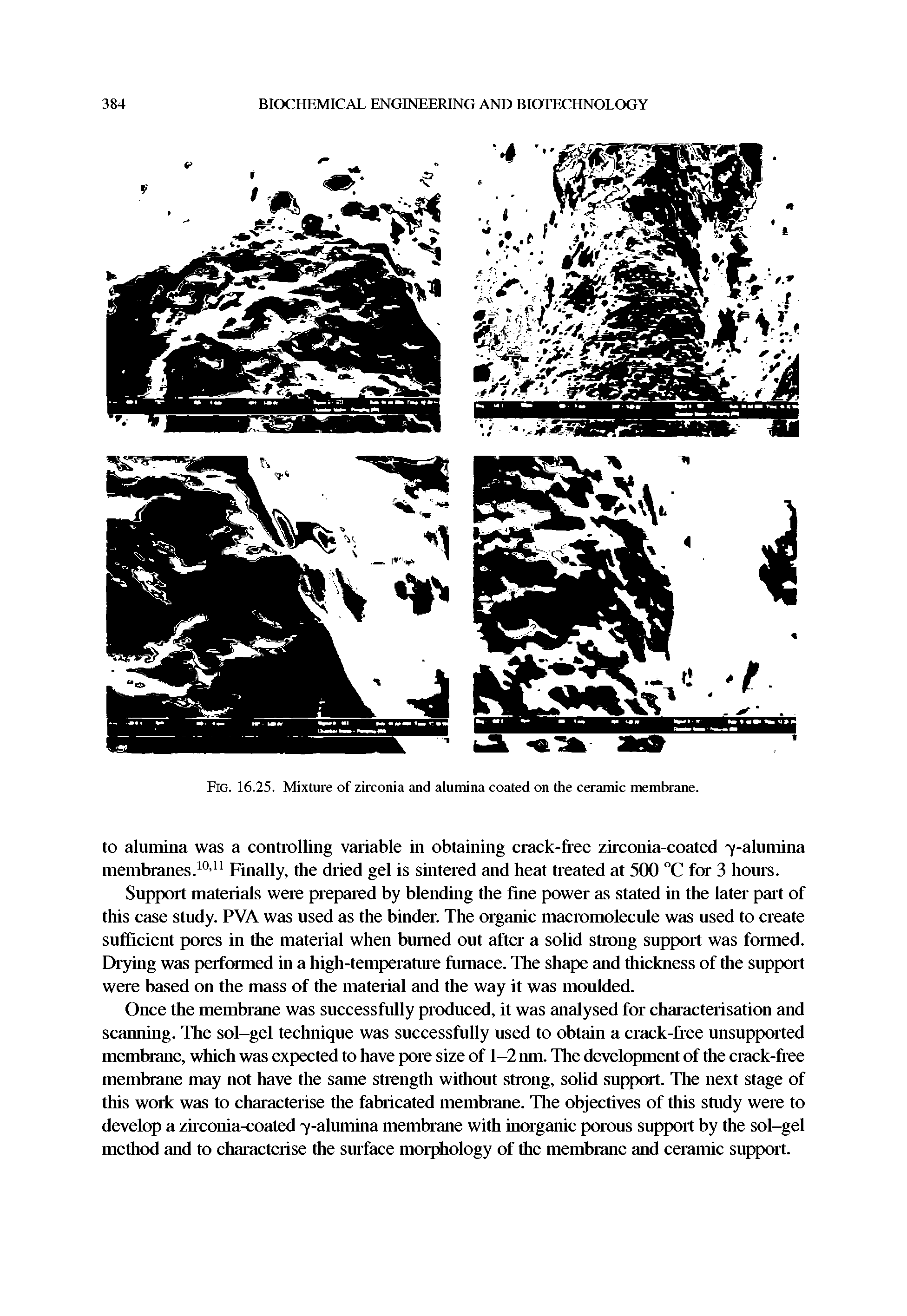 Fig. 16.25. Mixture of zirconia and alumina coated on the ceramic membrane.