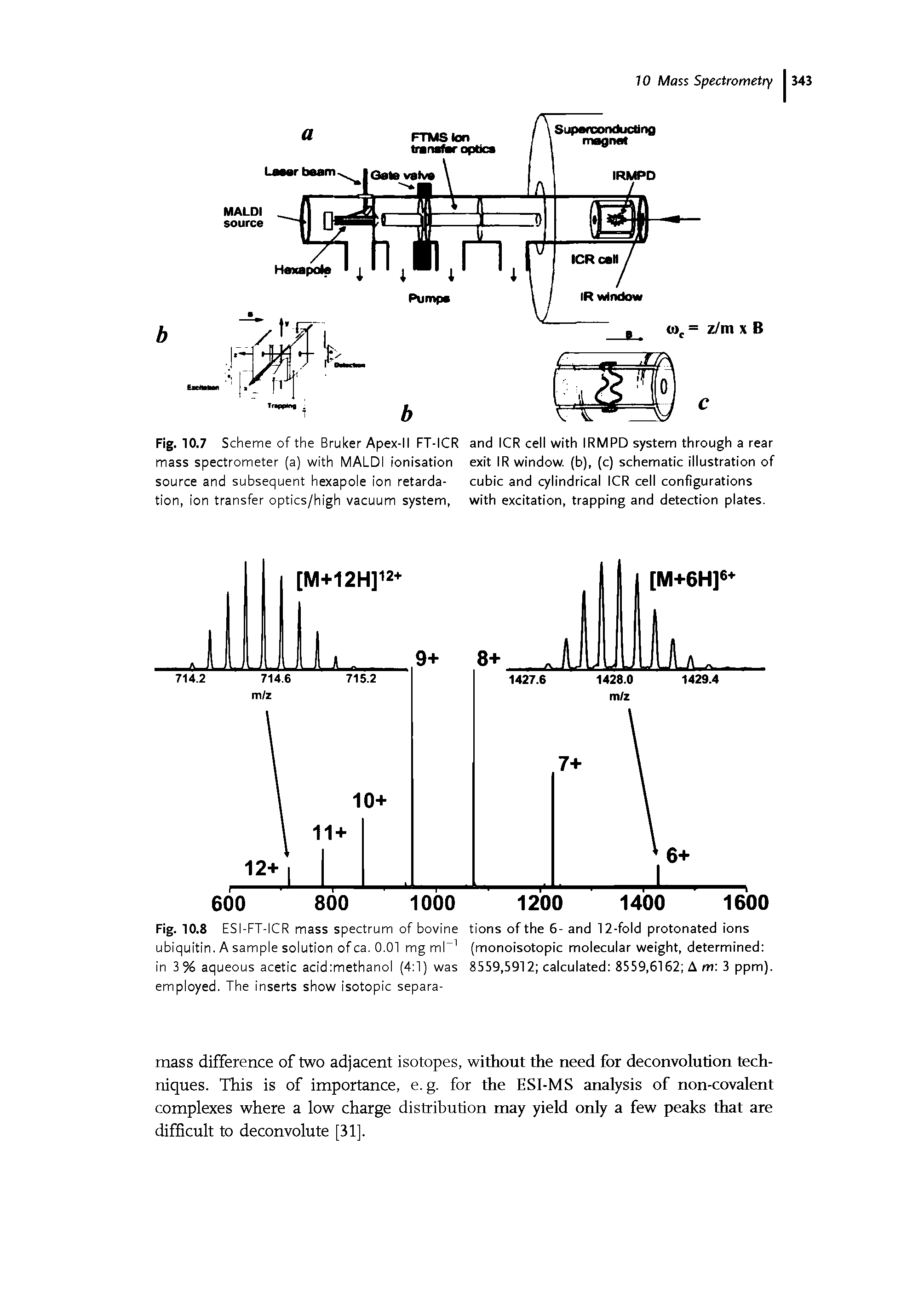 Fig. 10.8 ESI-FT-ICR mass spectrum of bovine tions of the 6- and 12-fold protonated ions ubiquitin. A sample solution of ca. 0.01 mg ml (monoisotopic molecular weight, determined in 3 % aqueous acetic acid methanol (4 1) was 8559,5912 calculated 8559,6152 A m 3 ppm), employed. The inserts show isotopic separa-...
