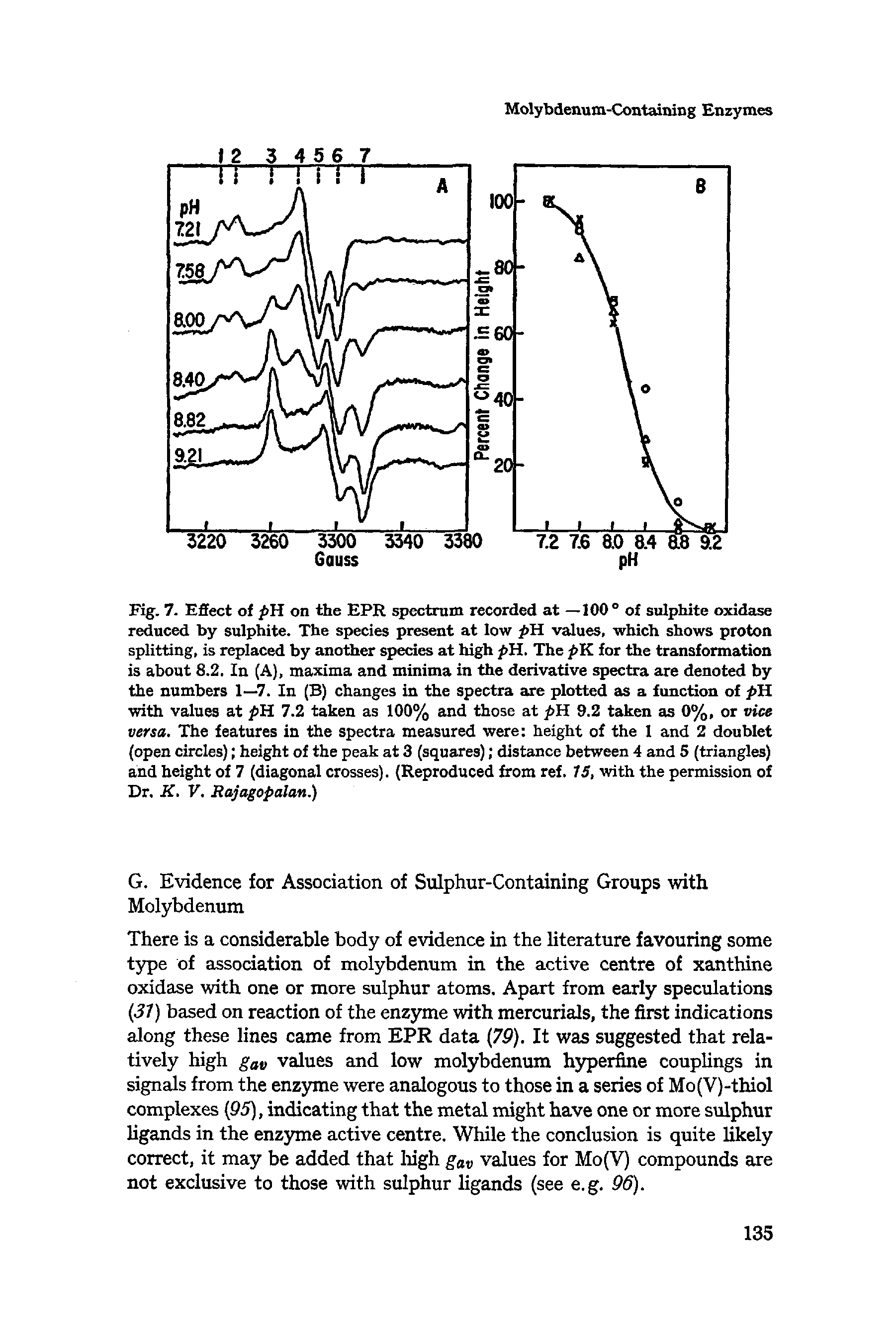 Fig. 7. Effect of pH on the EPR spectrum recorded at —100° of sulphite oxidase reduced by sulphite. The species present at low pH values, which shows proton splitting, is replaced by another species at high pH. The pH. for the transformation is about 8.2, In (A), maxima and minima in the derivative spectra are denoted by the numbers 1—7. In (B) changes in the spectra are plotted as a function of pH. with values at pH 7.2 taken as 100% and those at pH 9.2 taken as 0%, or vice versa. The features in the spectra measured were height of the 1 and 2 doublet (open circles) height of the peak at 3 (squares) distance between 4 and 5 (triangles) and height of 7 (diagonal crosses). (Reproduced from ref. 15, with the permission of Dr. K. V. Rajagopalan.)...