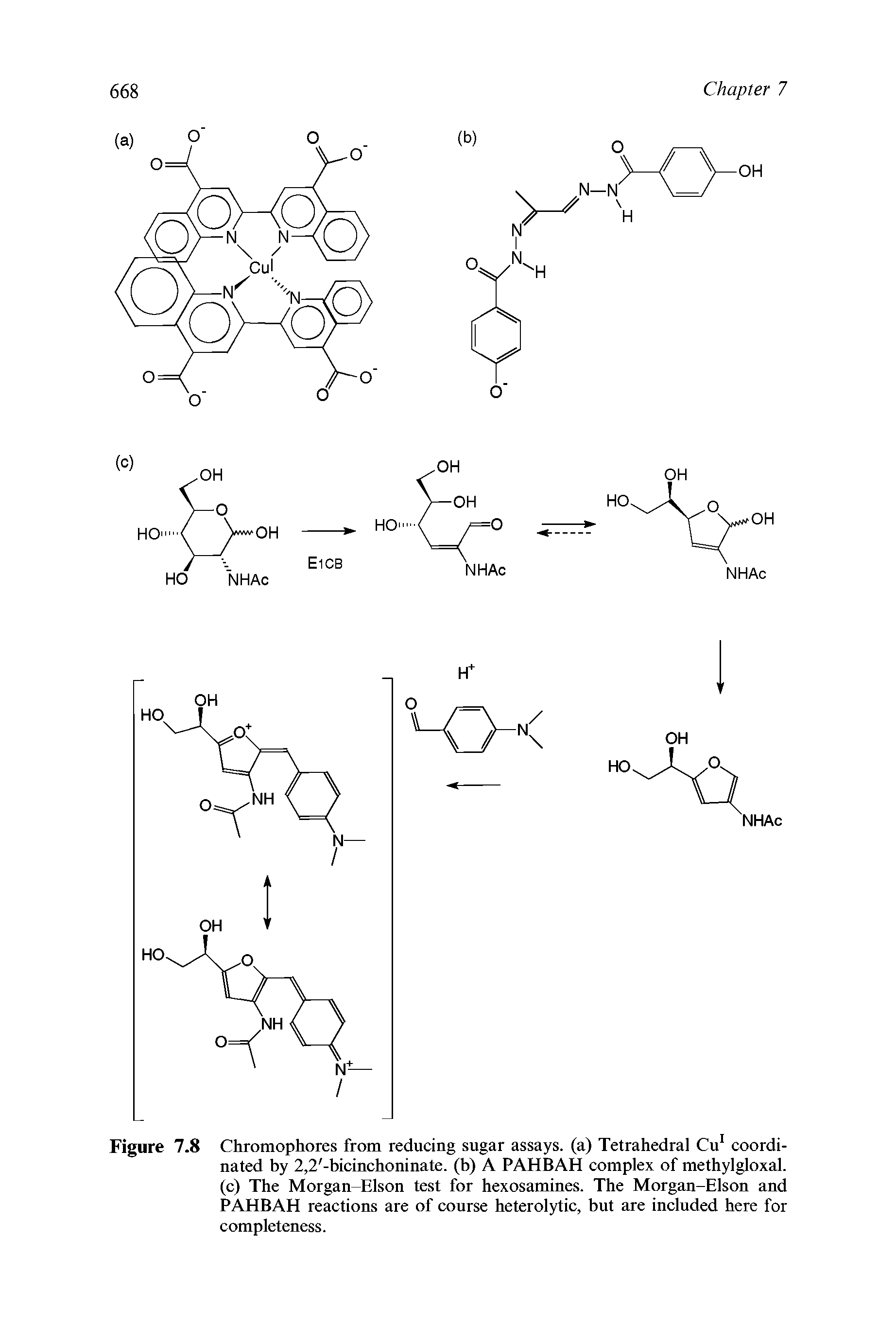 Figure 7.8 Chromophores from reducing sugar assays, (a) Tetrahedral Cu coordinated by 2,2 -bicinchoninate. (b) A PAHBAH complex of methylgloxal. (c) The Morgan-Elson test for hexosamines. The Morgan-Elson and PAHBAH reactions are of course heterolytic, but are included here for completeness.