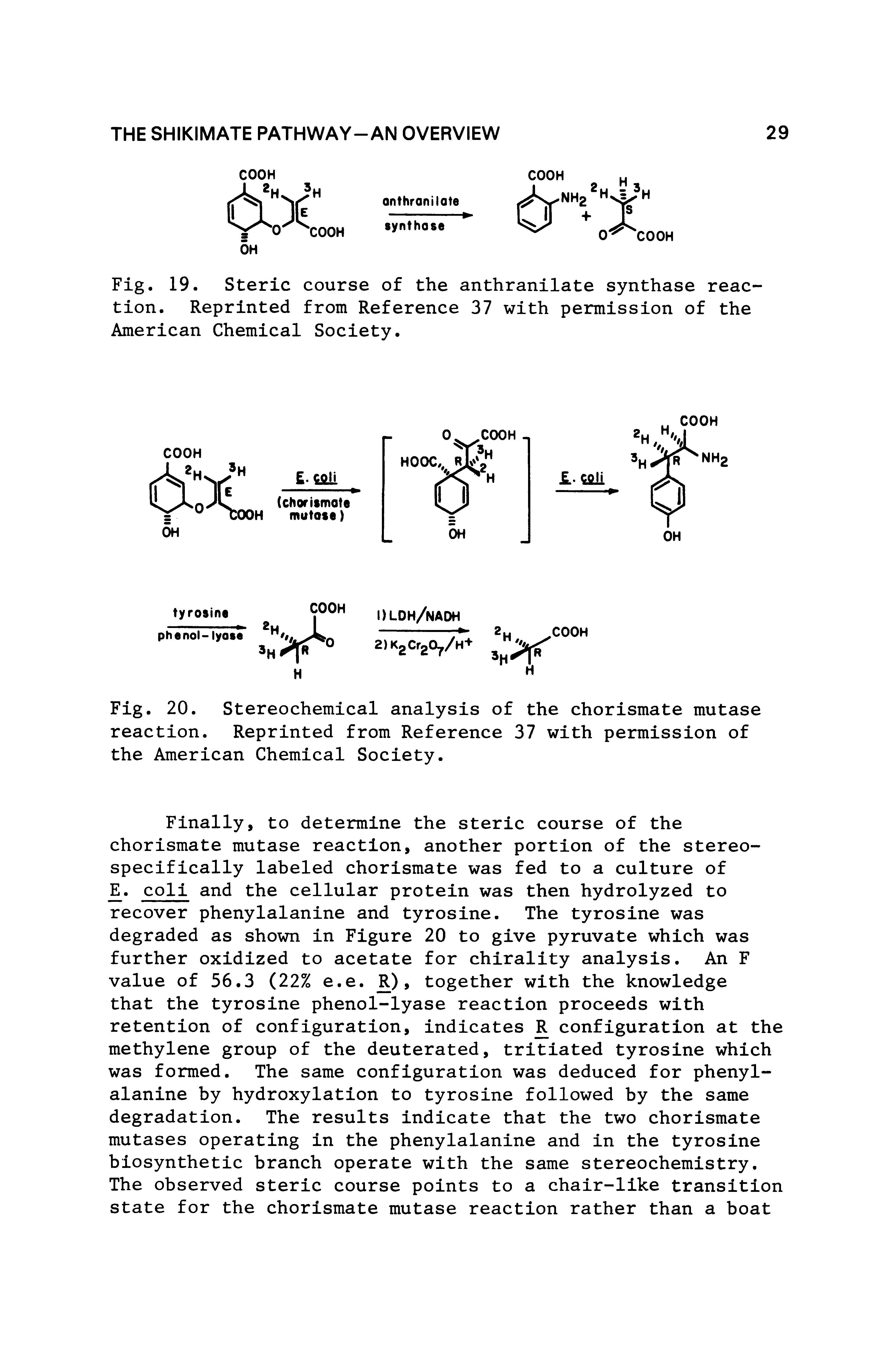 Fig. 19. Steric course of the anthranilate synthase reaction. Reprinted from Reference 37 with permission of the American Chemical Society.