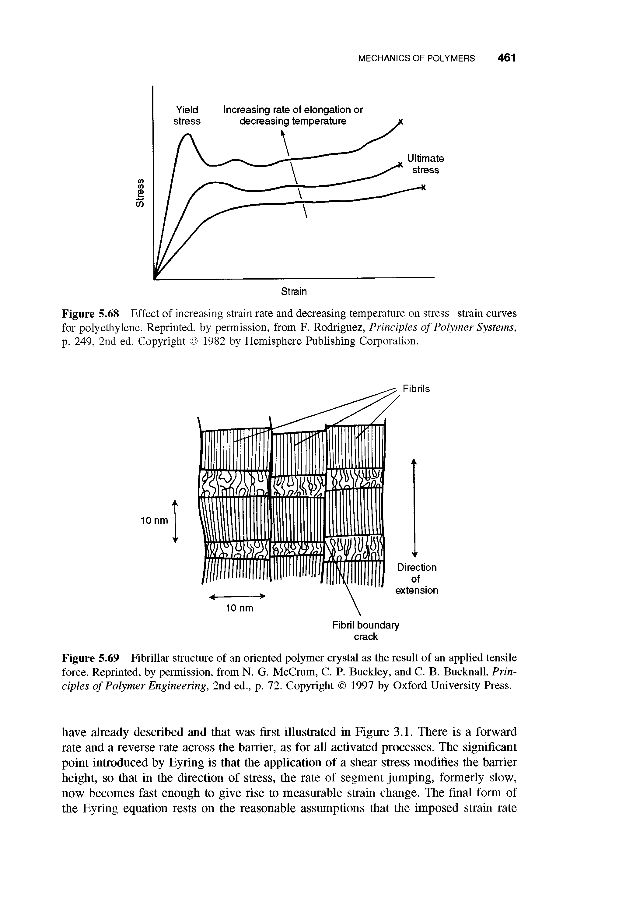 Figure 5.69 Fibrillar structure of an oriented polymer crystal as the result of an applied tensile force. Reprinted, by permission, from N. G. McCrum, C. P. Buckley, and C. B. Bucknall, Principles of Polymer Engineering, 2nd ed., p. 72. Copyright 1997 by Oxford University Press.