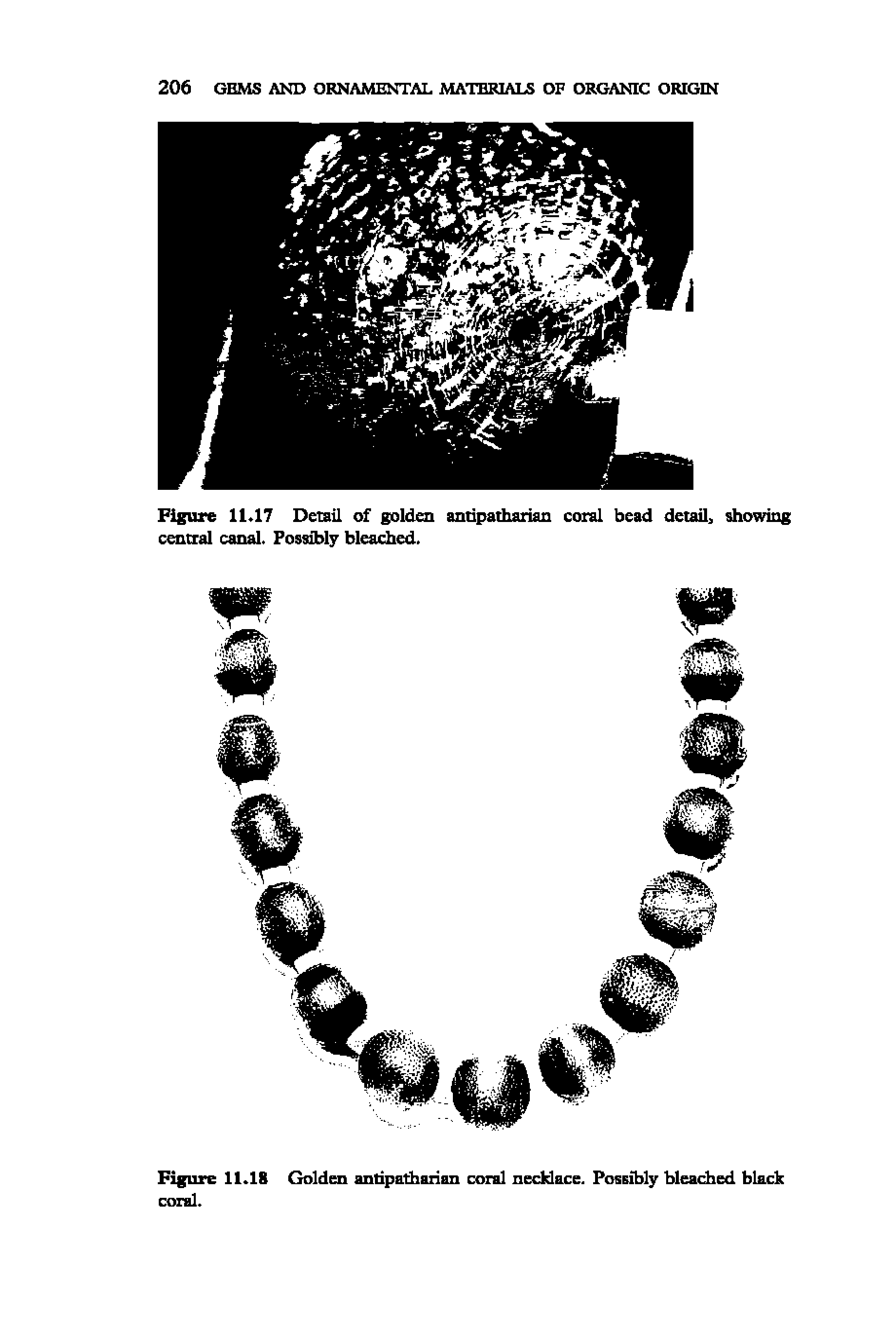 Figure 11.18 Golden antipatharian coral necklace. Possibly bleached black coral.
