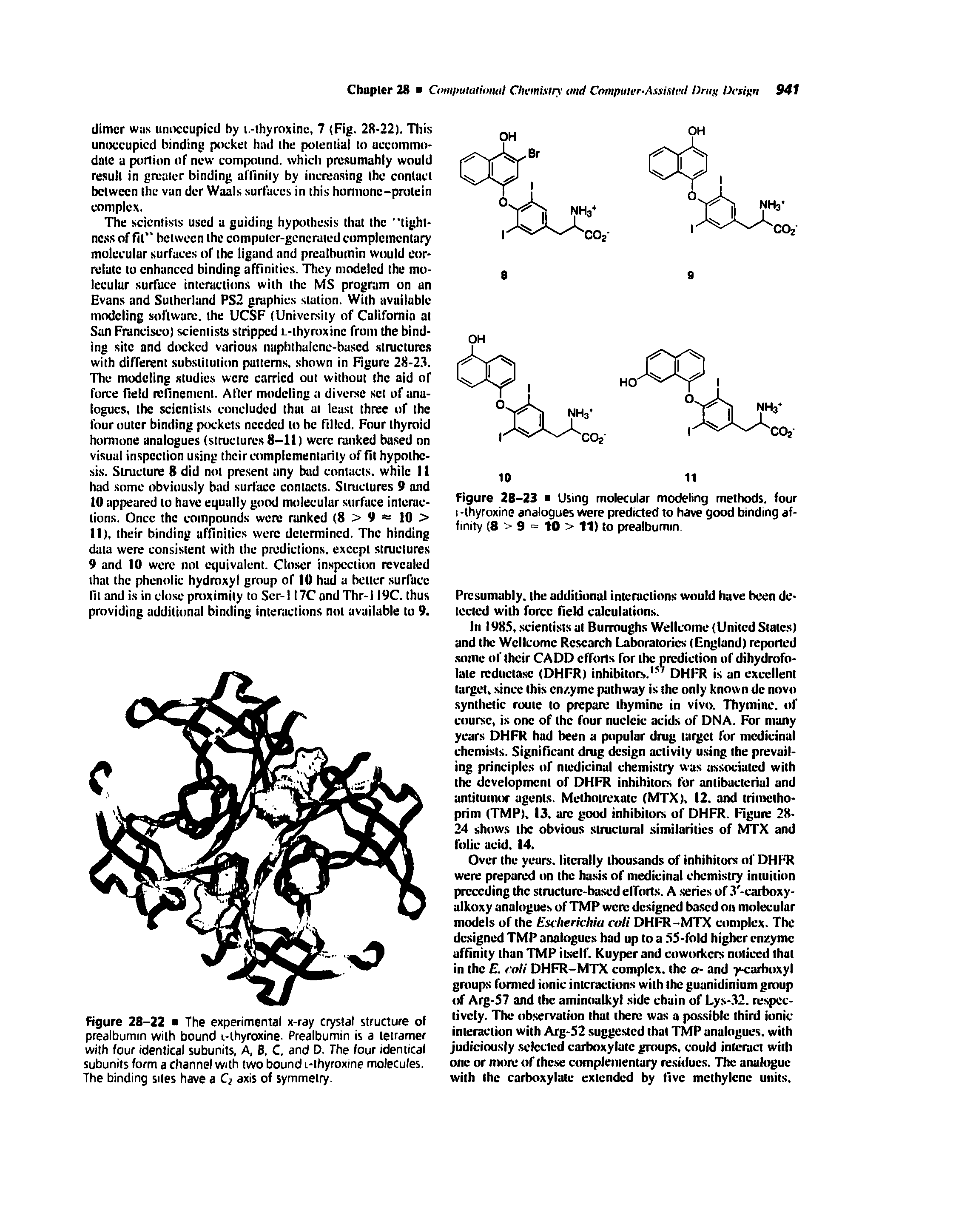 Figure 28-22 The experimental x-ray crystal structure of prealbumin with bound i-thyroxine. Prealbumin is a letramer with four identical subunits, A, B, C, and D, The four identical subunits form a channel with two bound i-thyroxine molecules. The binding sites have a C2 axis of symmetry.