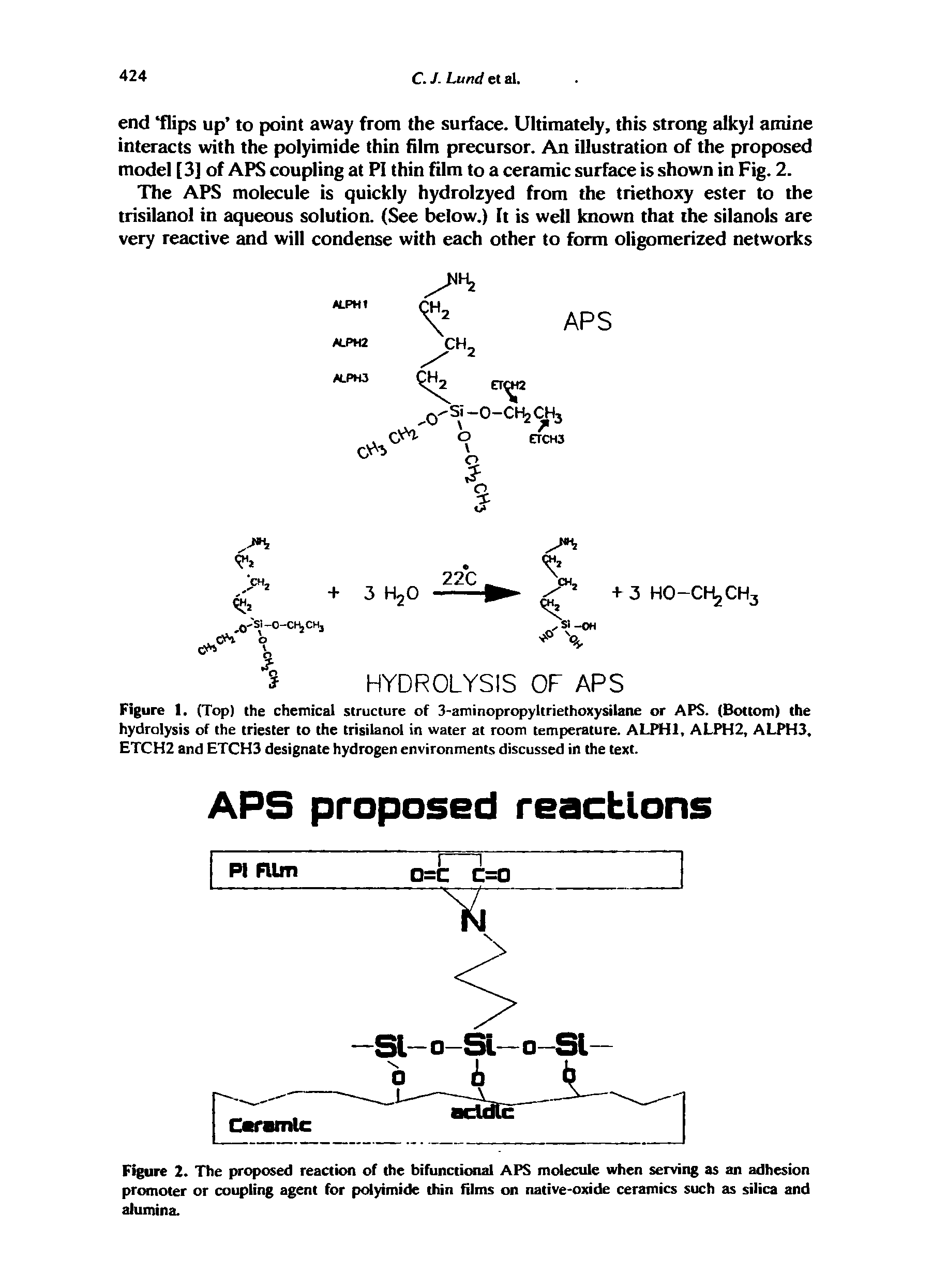 Figure 2. The proposed reaction of the bifunctional APS molecule when serving as an adhesion promoter or coupling agent for polyimide thin films on native-oxide ceramics such as silica and alumina.