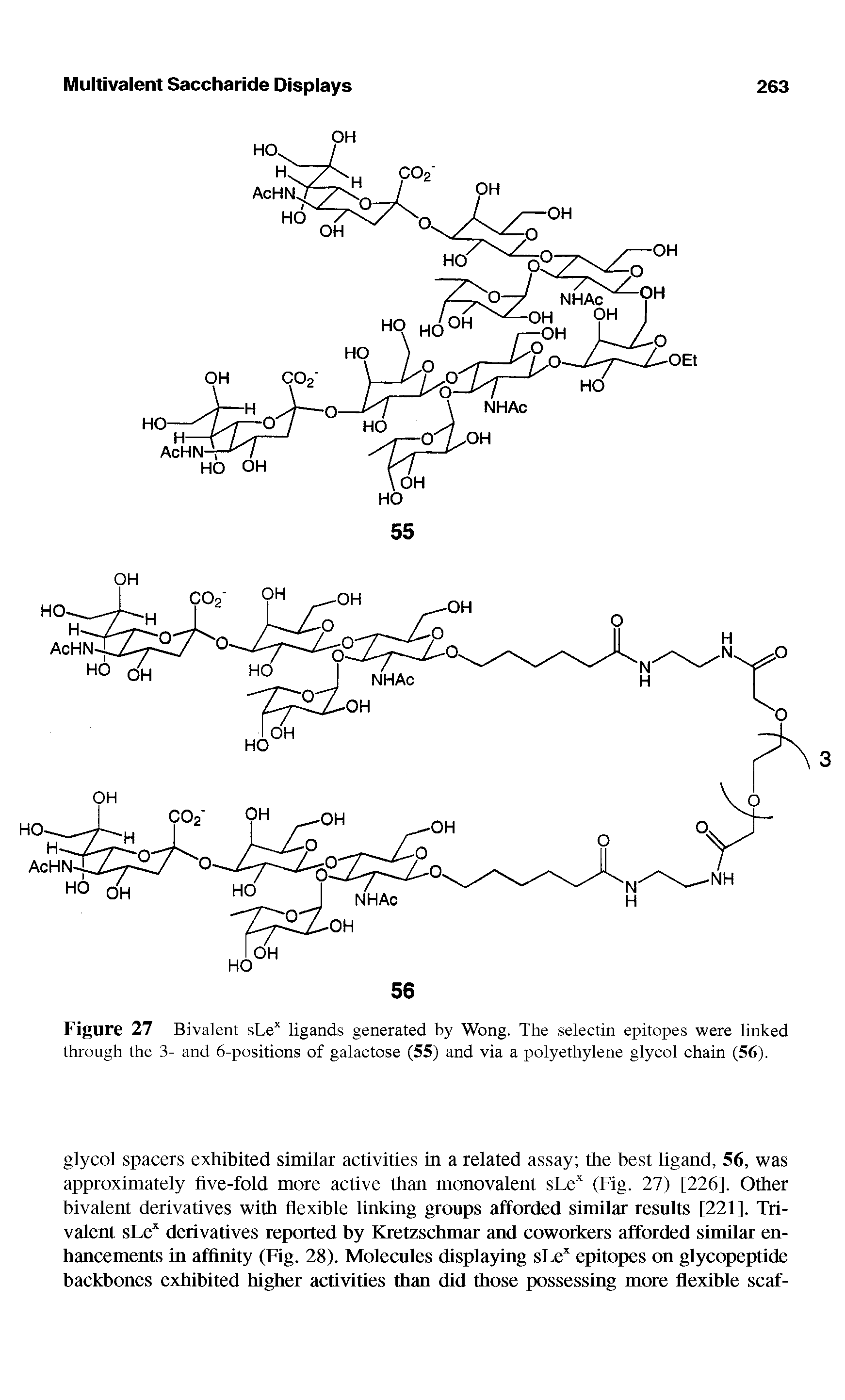 Figure 27 Bivalent sLe ligands generated by Wong. The selectin epitopes were linked through the 3- and 6-positions of galactose (55) and via a polyethylene glycol chain (56).