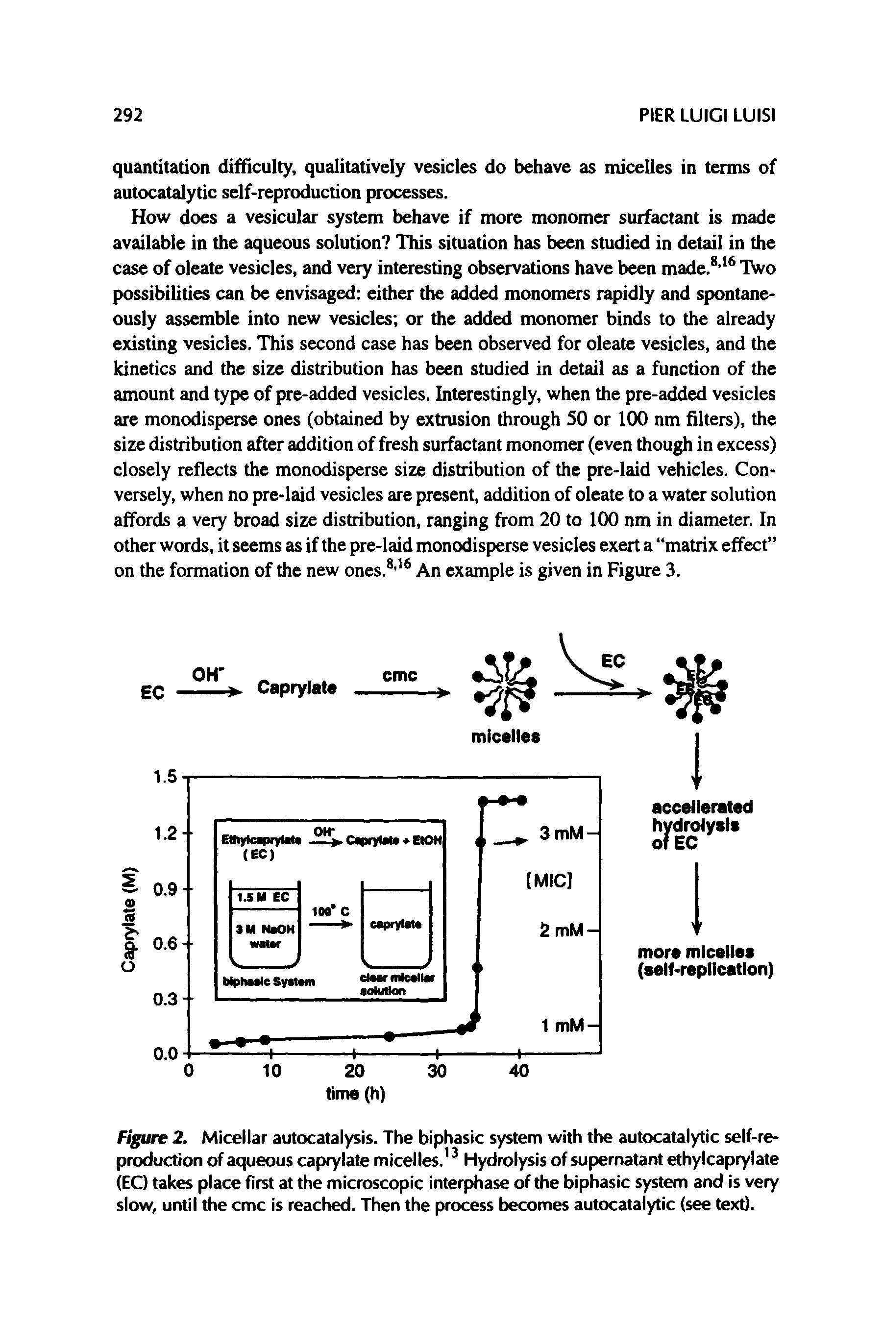 Figure 2. Micellar autocatalysis. The biphasic system with the autocatalytic self-reproduction of aqueous caprylate micelles. Hydrolysis of supernatant ethylcaprylate (EC) takes place first at the microscopic interphase of the biphasic system and is very slow, until the cmc is reached. Then the process becomes autocatalytic (see text).