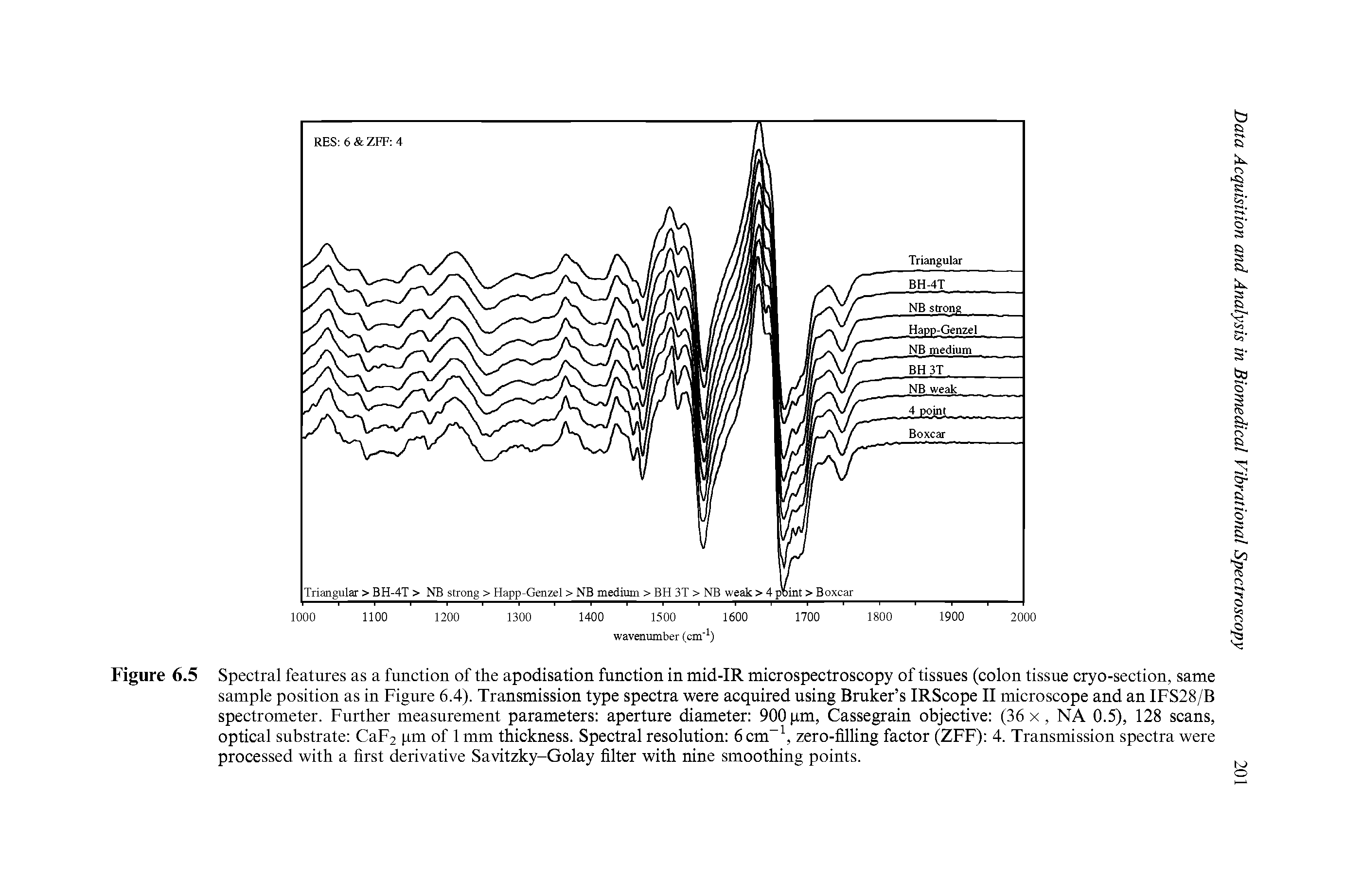 Figure 6.5 Spectral features as a function of the apodisation function in mid-IR microspectroscopy of tissues (colon tissue cryo-section, same sample position as in Figure 6.4). Transmission type spectra were acquired using Bruker s IRScope II microscope and an IFS28/B spectrometer. Further measurement parameters aperture diameter 900 pm, Cassegrain objective (36 x, NA 0.5), 128 scans, optical substrate CaF2 pm of 1 mm thickness. Spectral resolution 6 cm zero-filling factor (ZFF) 4. Transmission spectra were processed with a first derivative Savitzky-Golay filter with nine smoothing points.