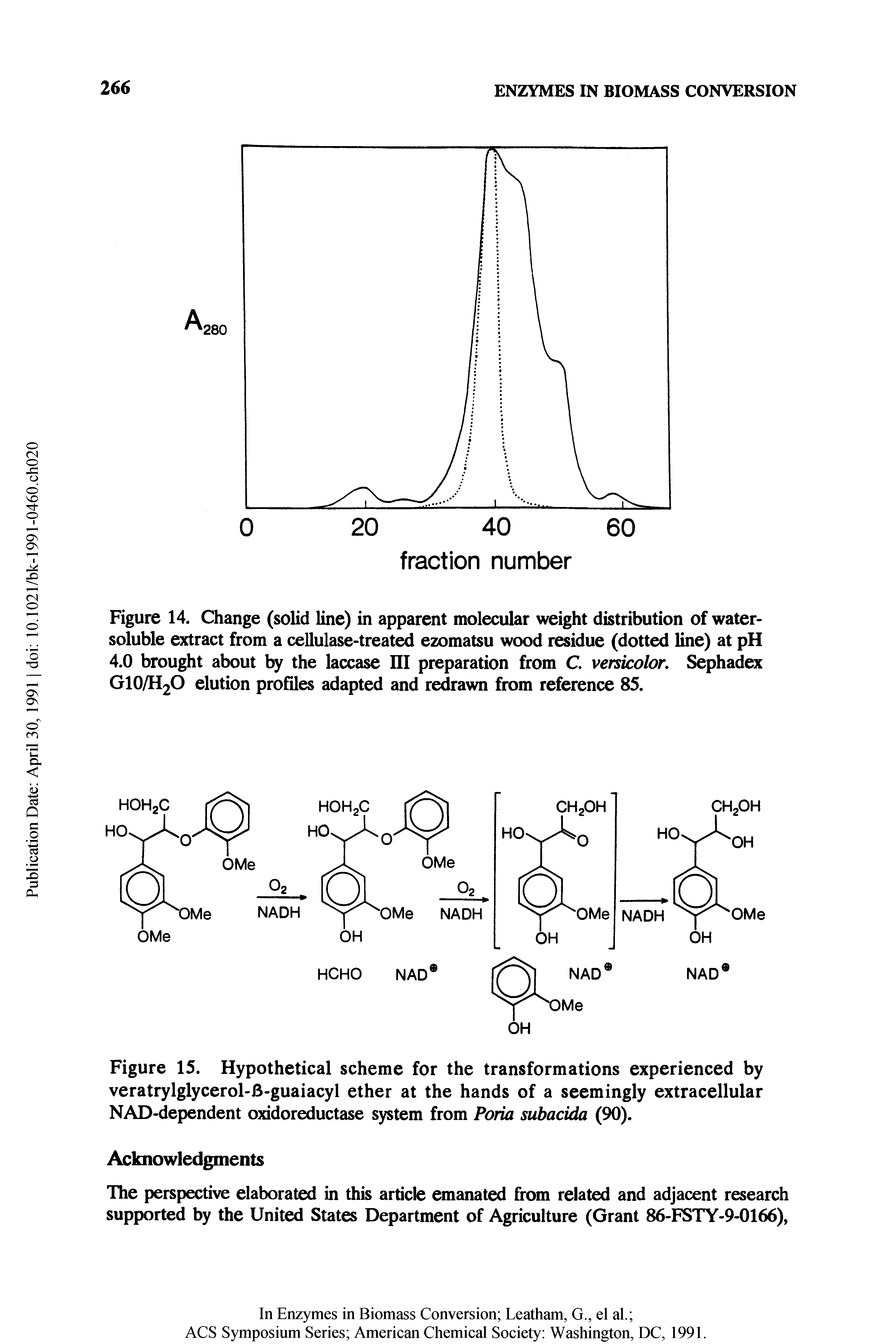 Figure 14. Change (solid line) in apparent molecular weight distribution of water-soluble extract from a cellulase-treated ezomatsu wood residue (dotted line) at pH 4.0 brought about by the laccase HI preparation from C. versicolor, Sephadex GIO/H2O elution profiles adapted and redrawn from reference 85.
