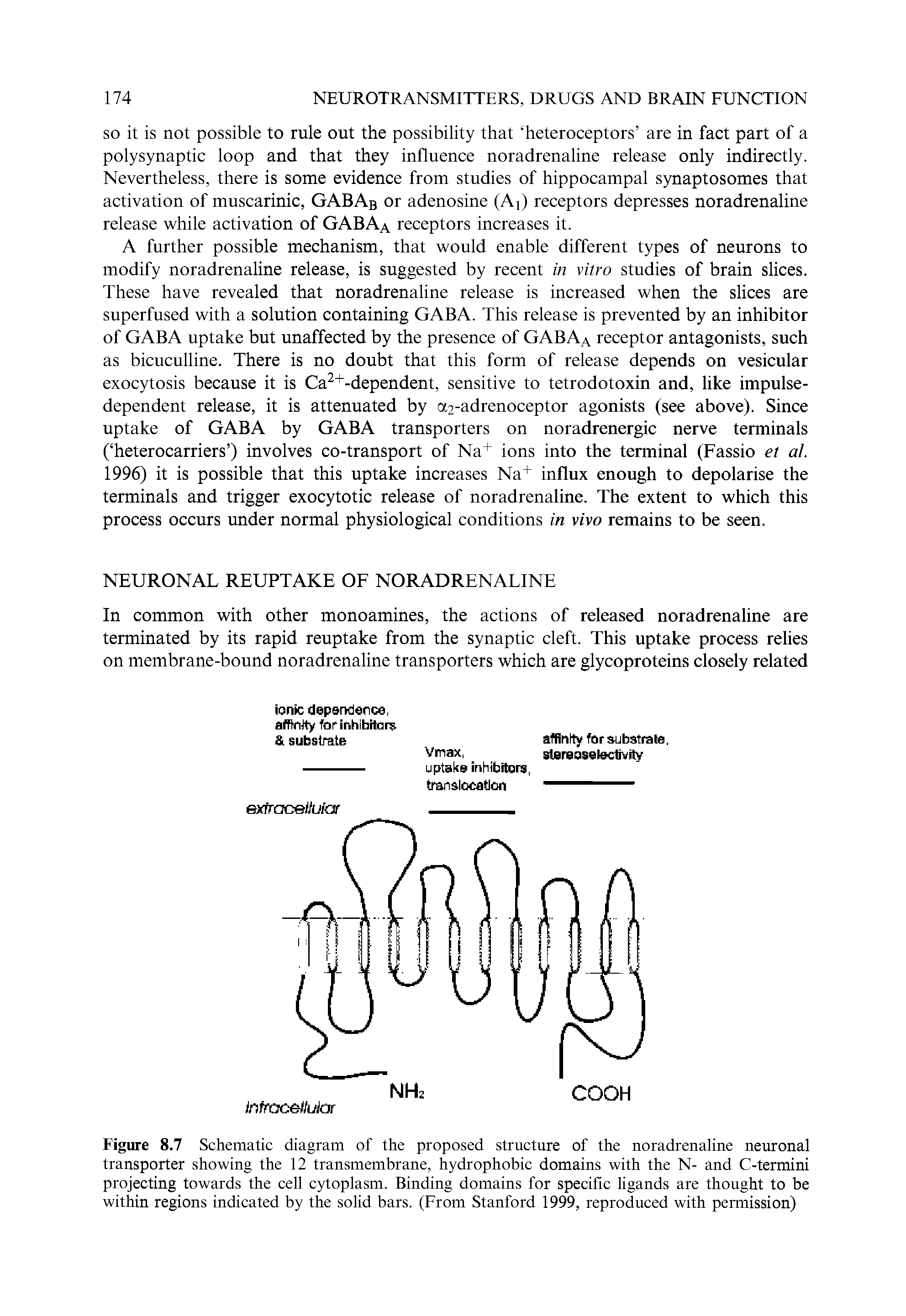 Figure 8.7 Schematic diagram of the proposed structure of the noradrenaline neuronal transporter showing the 12 transmembrane, hydrophobic domains with the N- and C-termini projecting towards the cell cytoplasm. Binding domains for specific ligands are thought to be within regions indicated by the solid bars. (From Stanford 1999, reproduced with permission)...