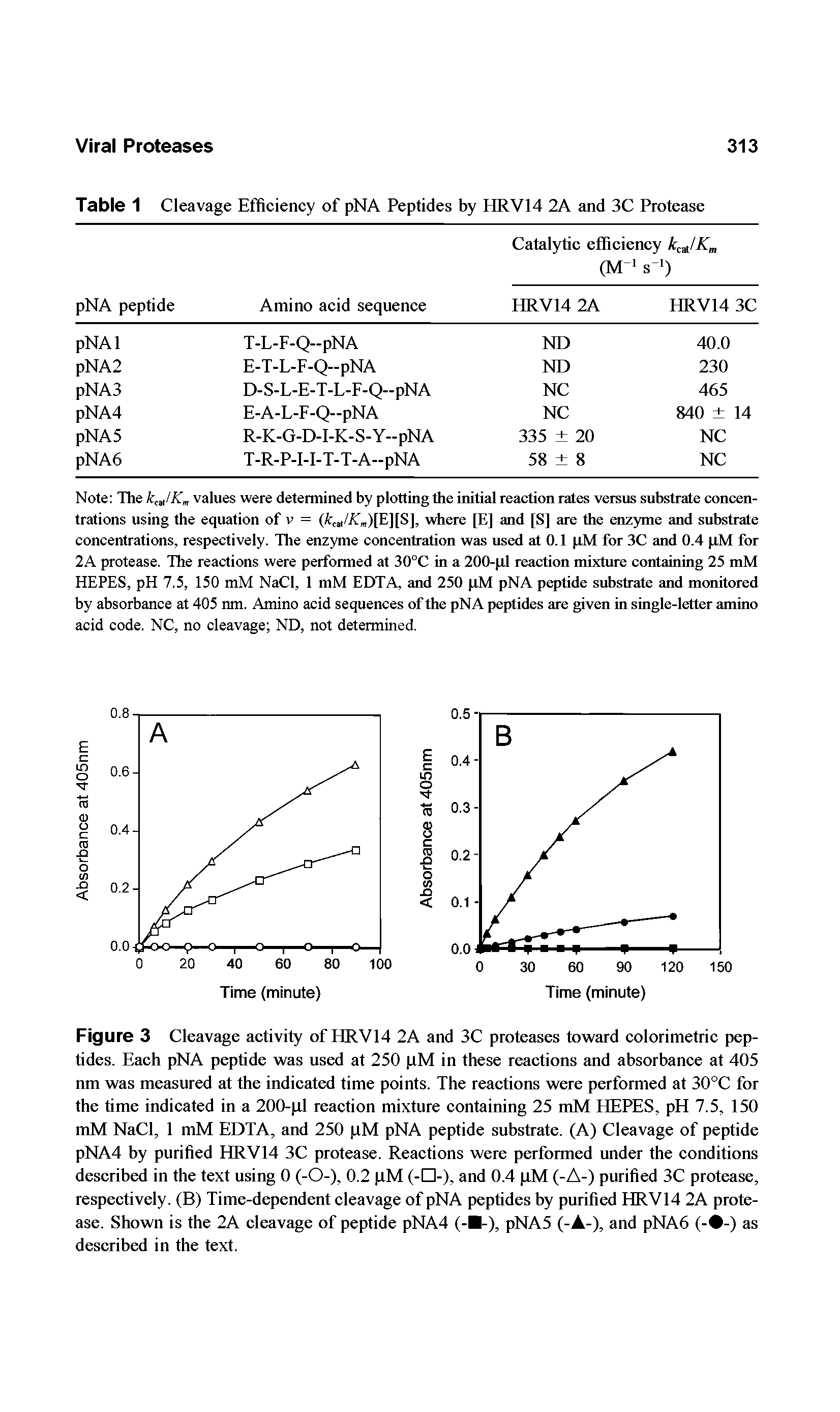 Table 1 Cleavage Efficiency of pNA Peptides by HRV14 2A and 3C Protease...