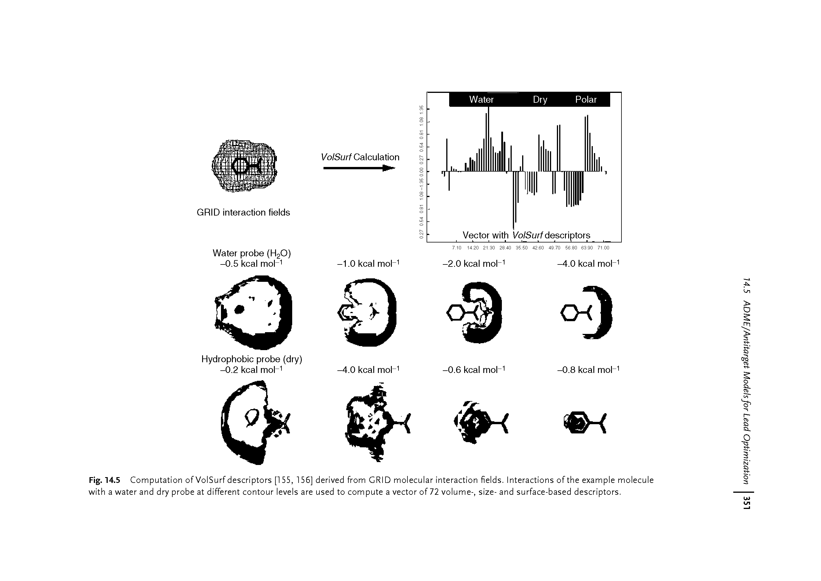 Fig. 14.5 Computation of VolSurf descriptors [155, 156] derived from GRID molecular interaction fields. Interactions of the example molecule with a water and dry probe at different contour levels are used to compute a vector of 72 volume-, size- and surface-based descriptors.