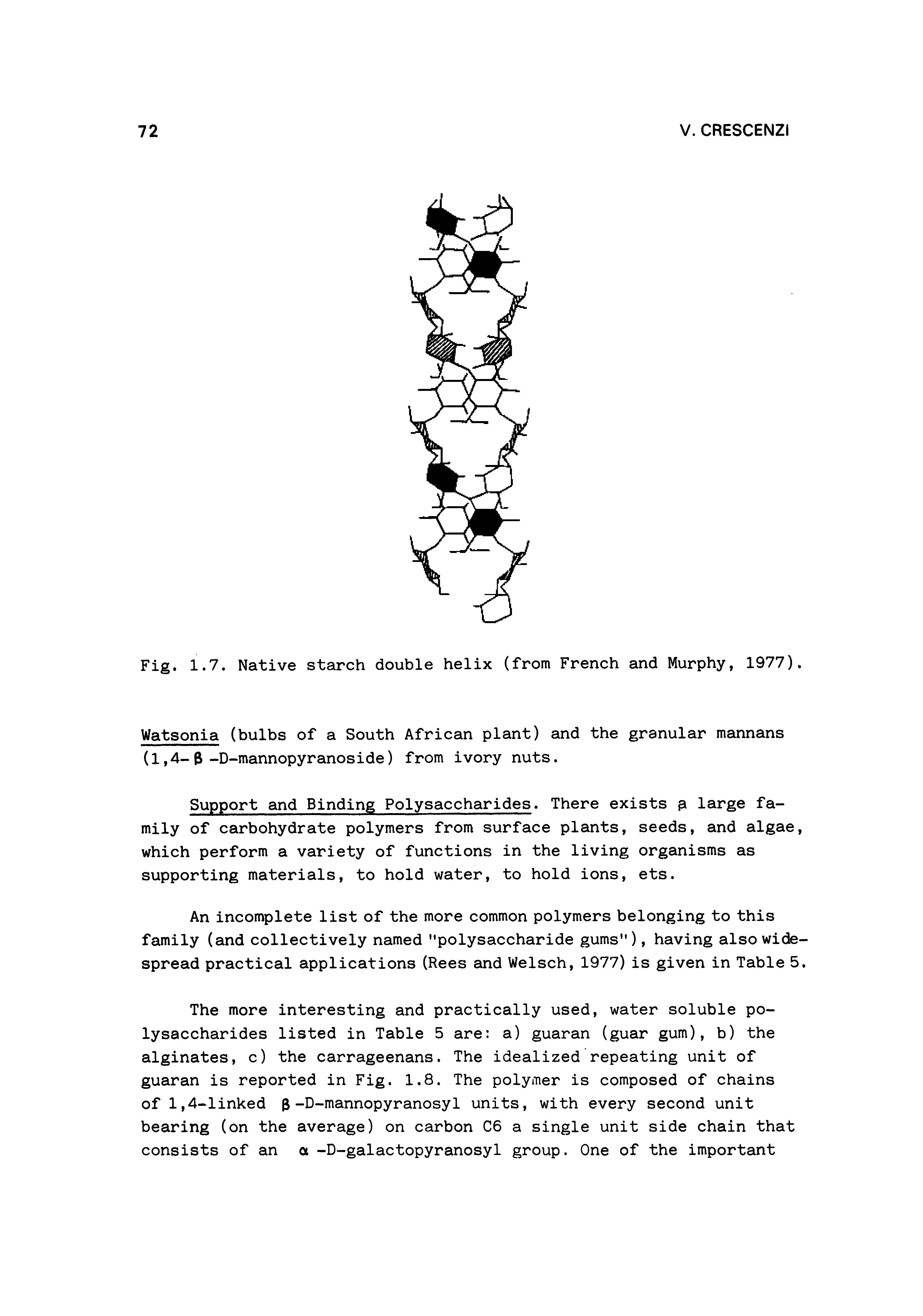 Fig. 1.7. Native starch double helix (from French and Murphy, 1977).