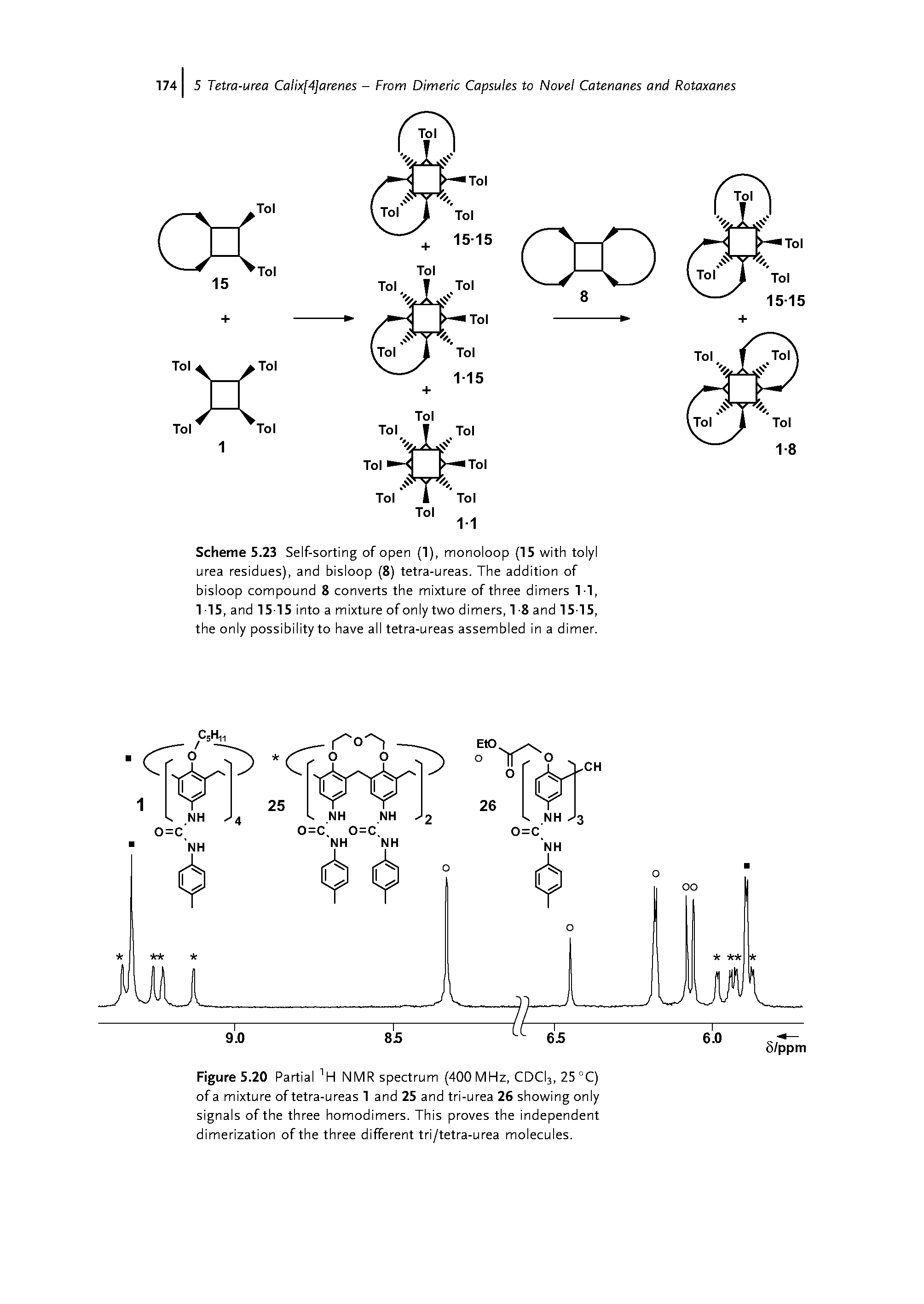 Scheme 5.23 Self-sorting of open (1), monoloop (15 with tolyl urea residues), and bisloop (8) tetra-ureas. The addition of bisloop compound 8 converts the mixture of three dimers 1-1, 1-15, and 15-15 into a mixture of only two dimers, 1 -8 and 15-15, the only possibility to have all tetra-ureas assembled in a dimer.