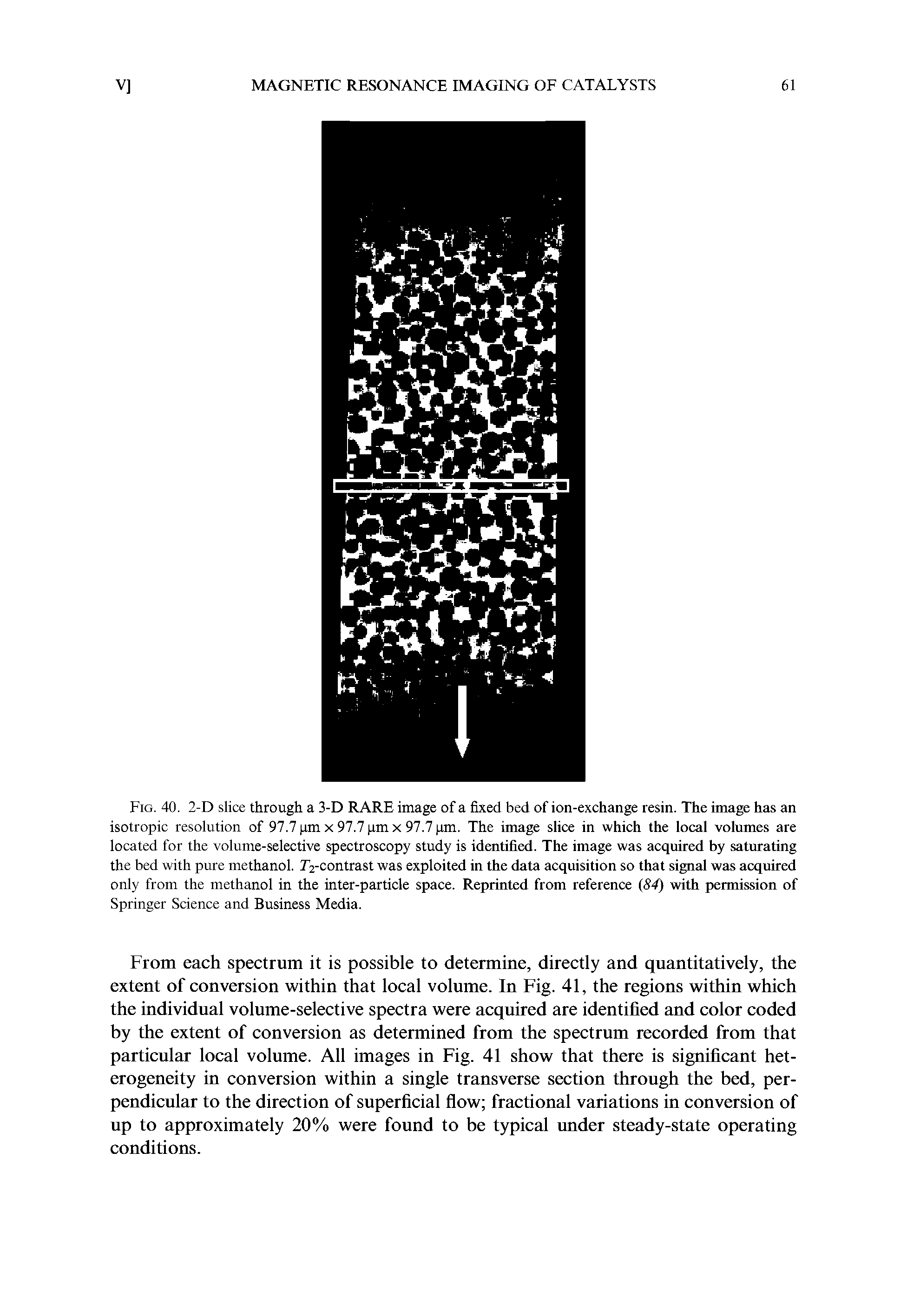 Fig. 40. 2-D slice through a 3-D RARE image of a fixed bed of ion-exchange resin. The image has an isotropic resolution of 97.7 pm x 97.7 pm x 97.7 pm. The image slice in which the local volumes are located for the volume-selective spectroscopy study is identified. The image was acquired by saturating the bed with pure methanol. r2-contrast was exploited in the data acquisition so that signal was acquired only from the methanol in the inter-particle space. Reprinted from reference (84 with permission of Springer Science and Business Media.