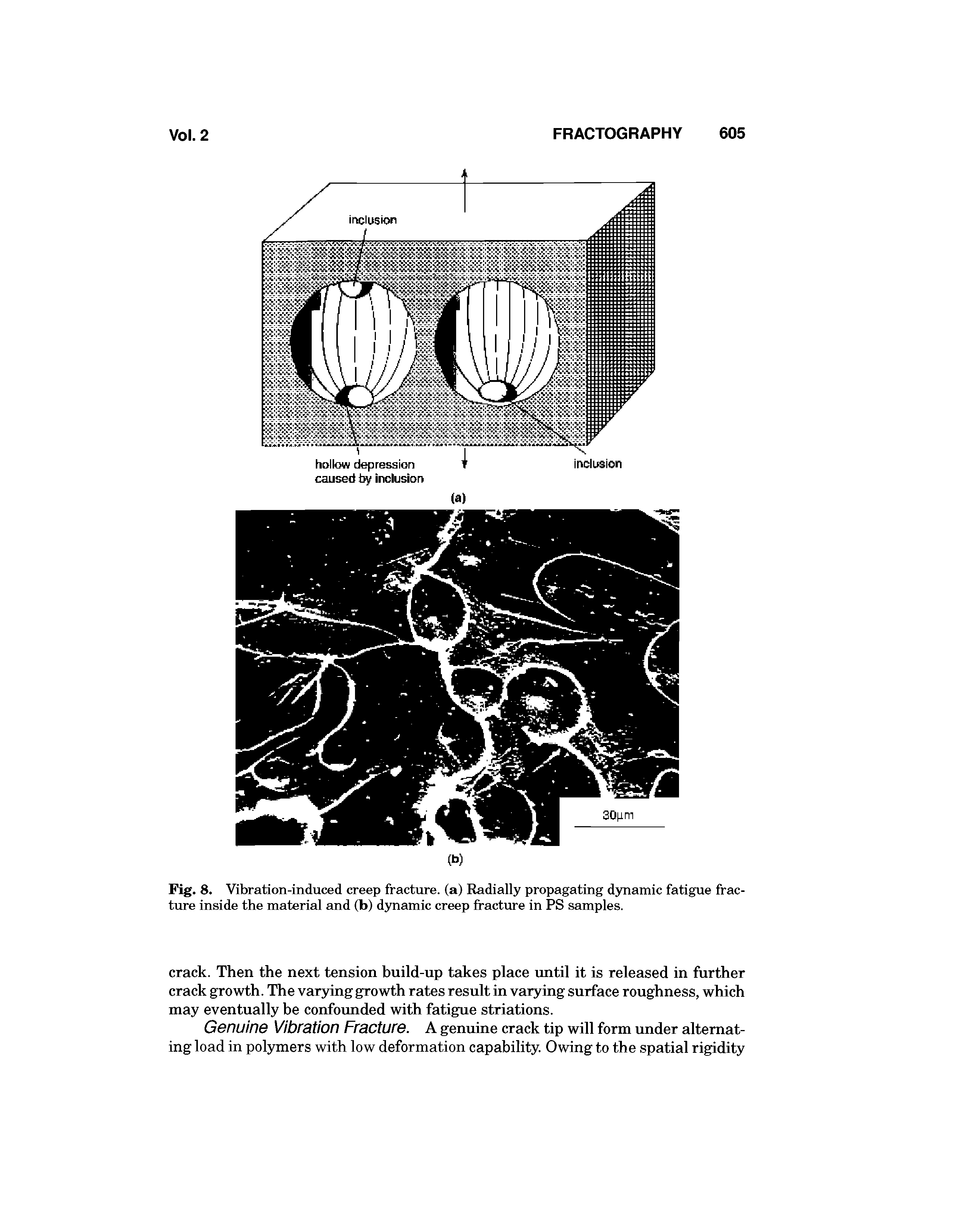 Fig. 8. Vibration-induced creep fracture, (a) Radially propagating dynamic fatigue fracture inside the material and (b) dynamic creep fracture in PS samples.