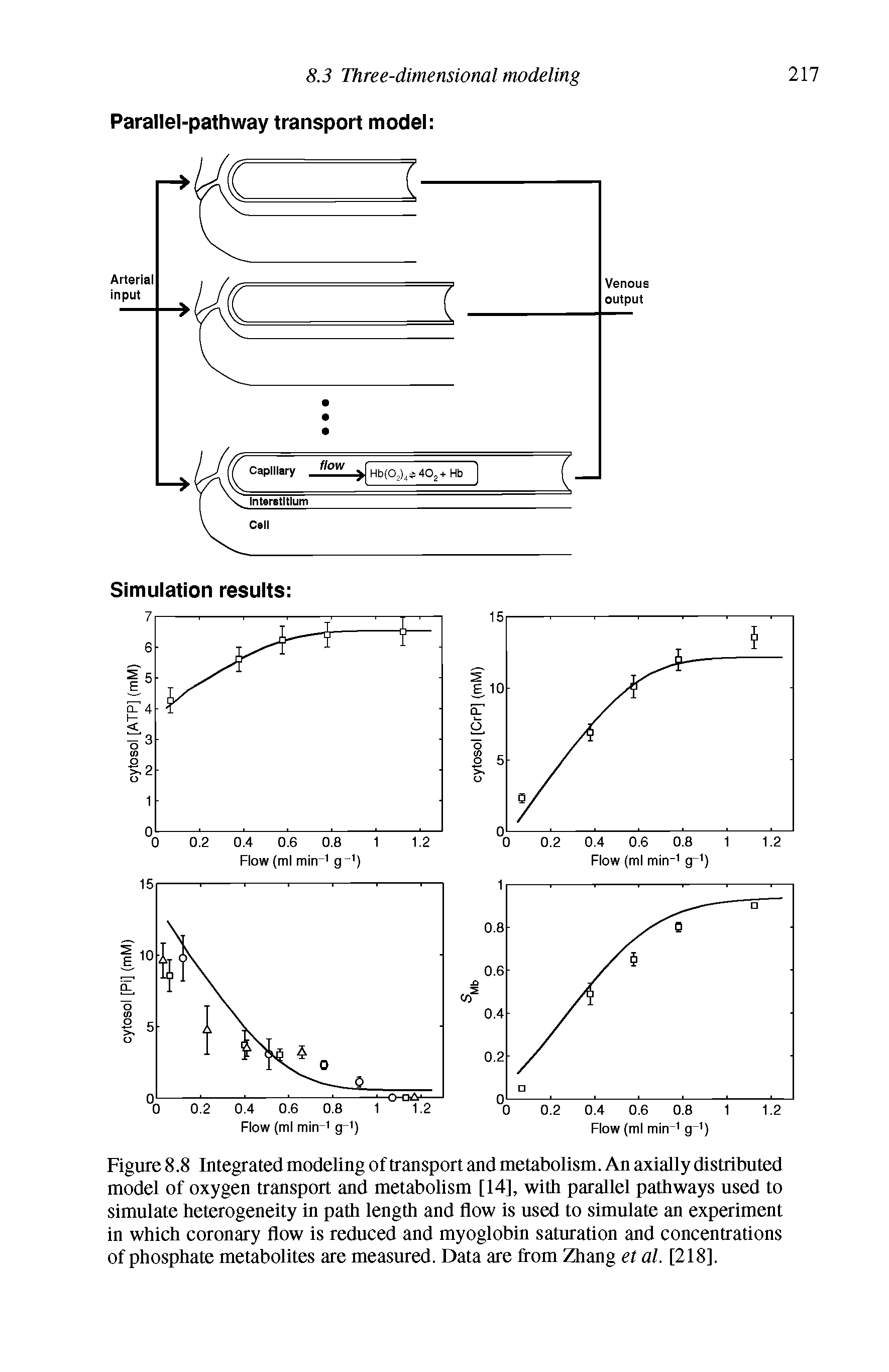 Figure 8.8 Integrated modeling of transport and metabolism. An axially distributed model of oxygen transport and metabolism [14], with parallel pathways used to simulate heterogeneity in path length and flow is used to simulate an experiment in which coronary flow is reduced and myoglobin saturation and concentrations of phosphate metabolites are measured. Data are from Zhang et al. [218],...